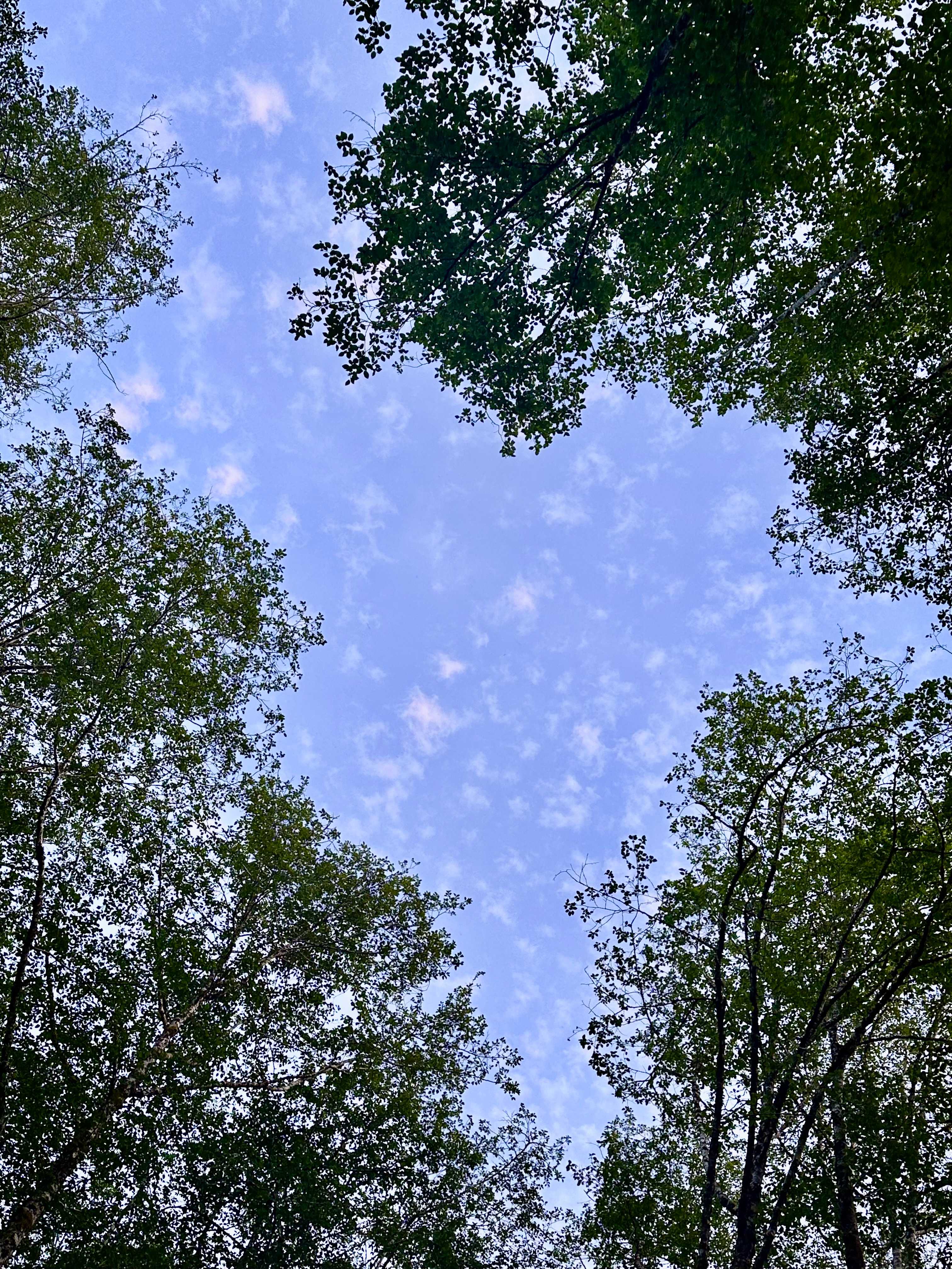 Powder Creek Campground