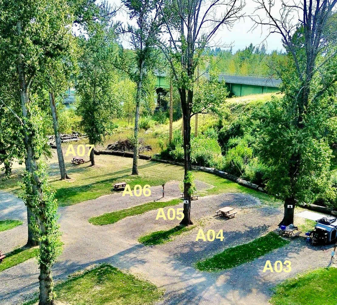 Picture of the site