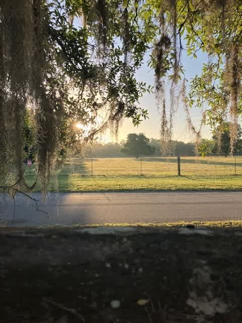 Lovely Acres Of East Orlando