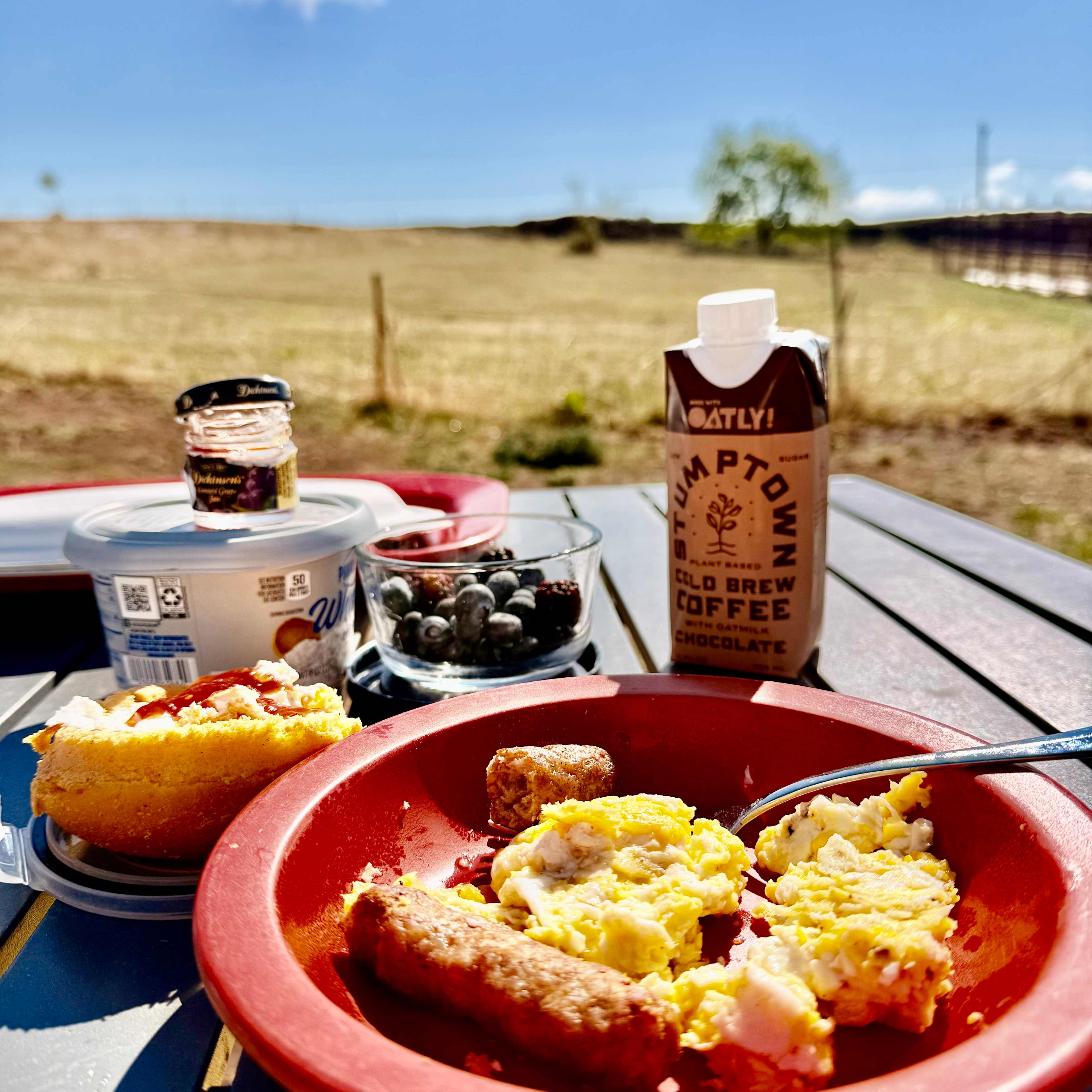 Camp brekkie looking east toward a lone tree. 