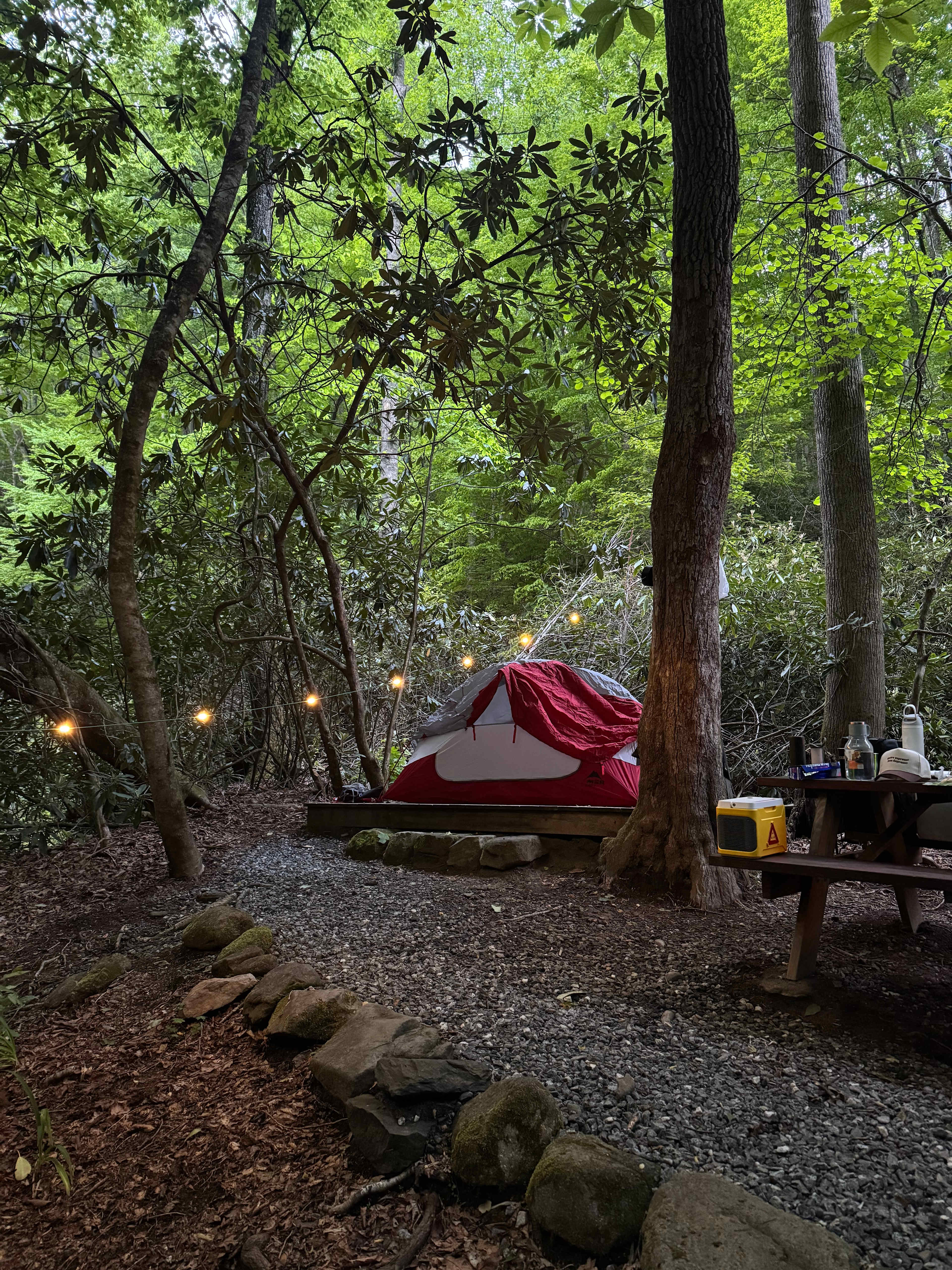 Mountain Creek Rest