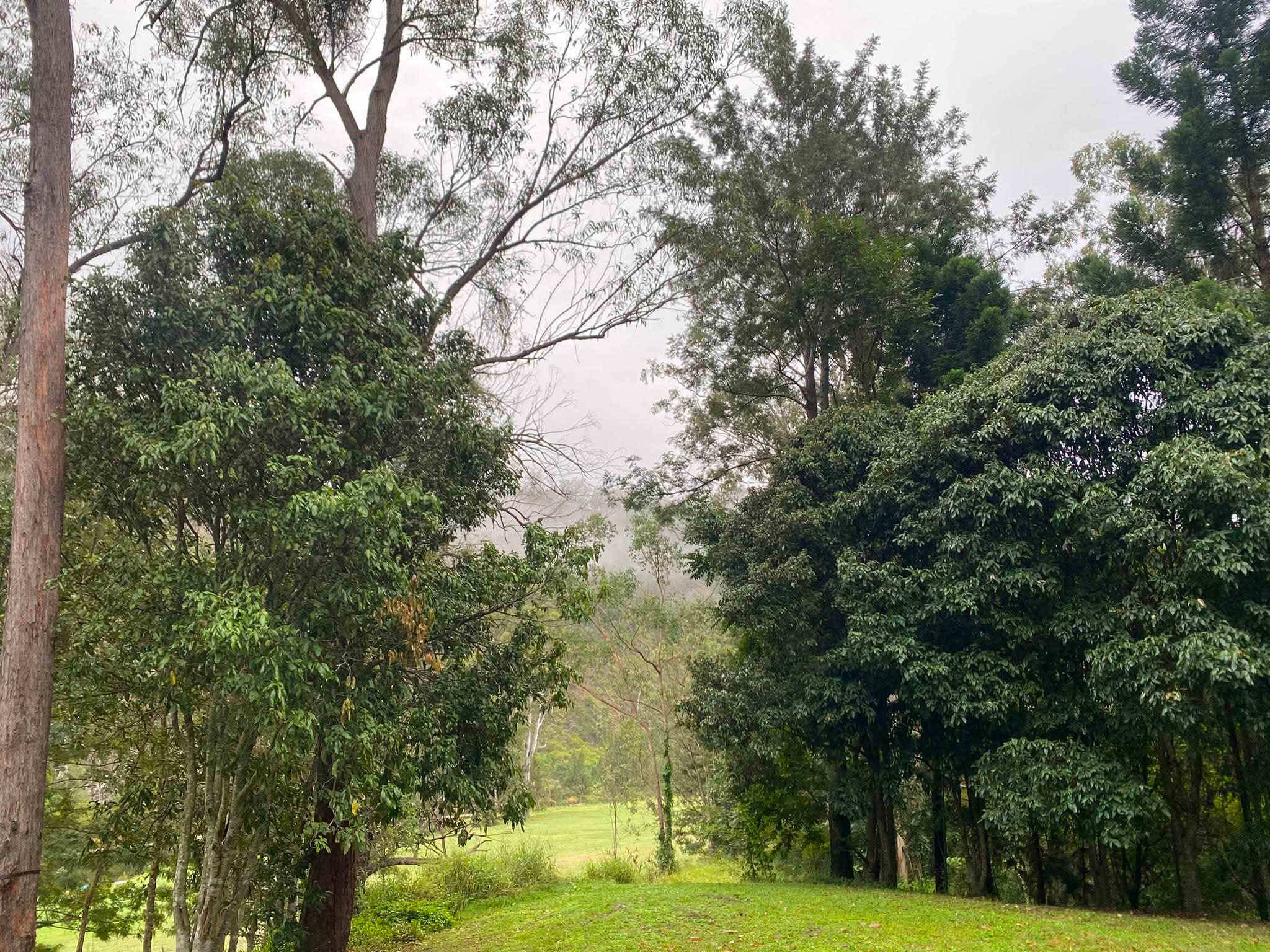 Clarence River Wilderness Lodge