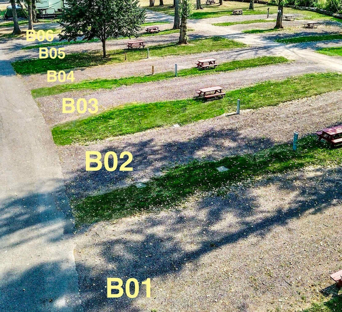 Picture of the site