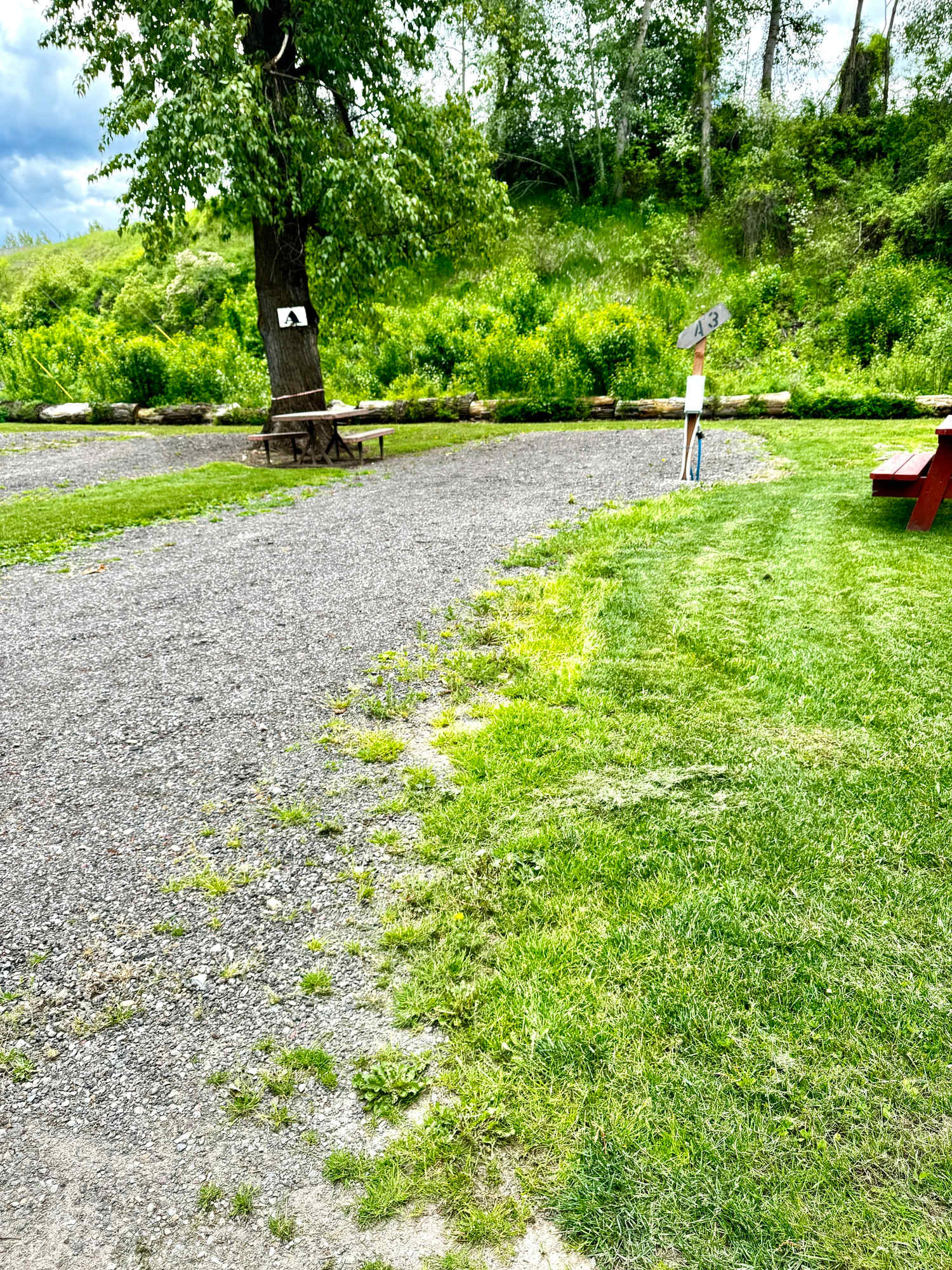 Picture of the site