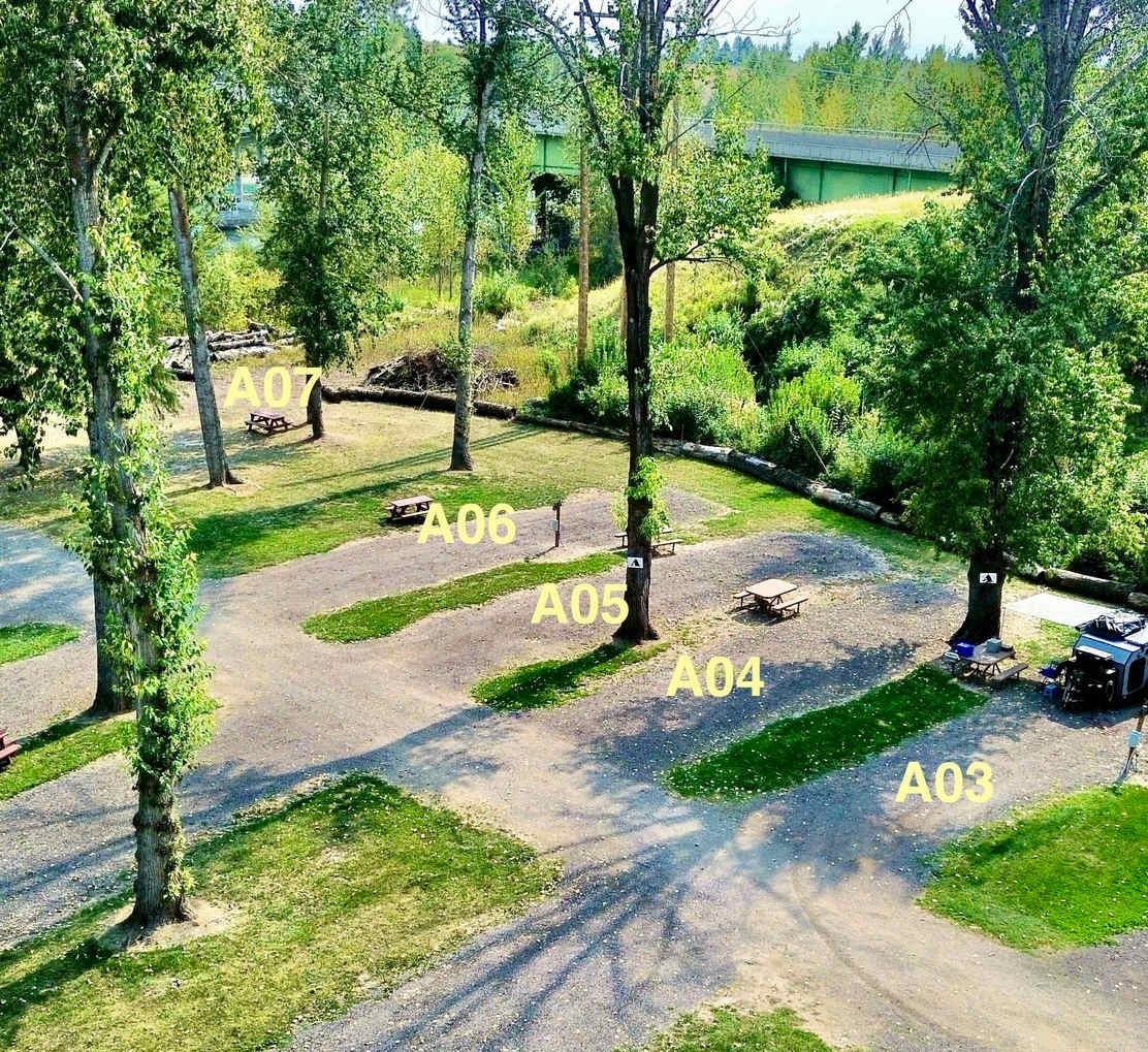 Picture of the site