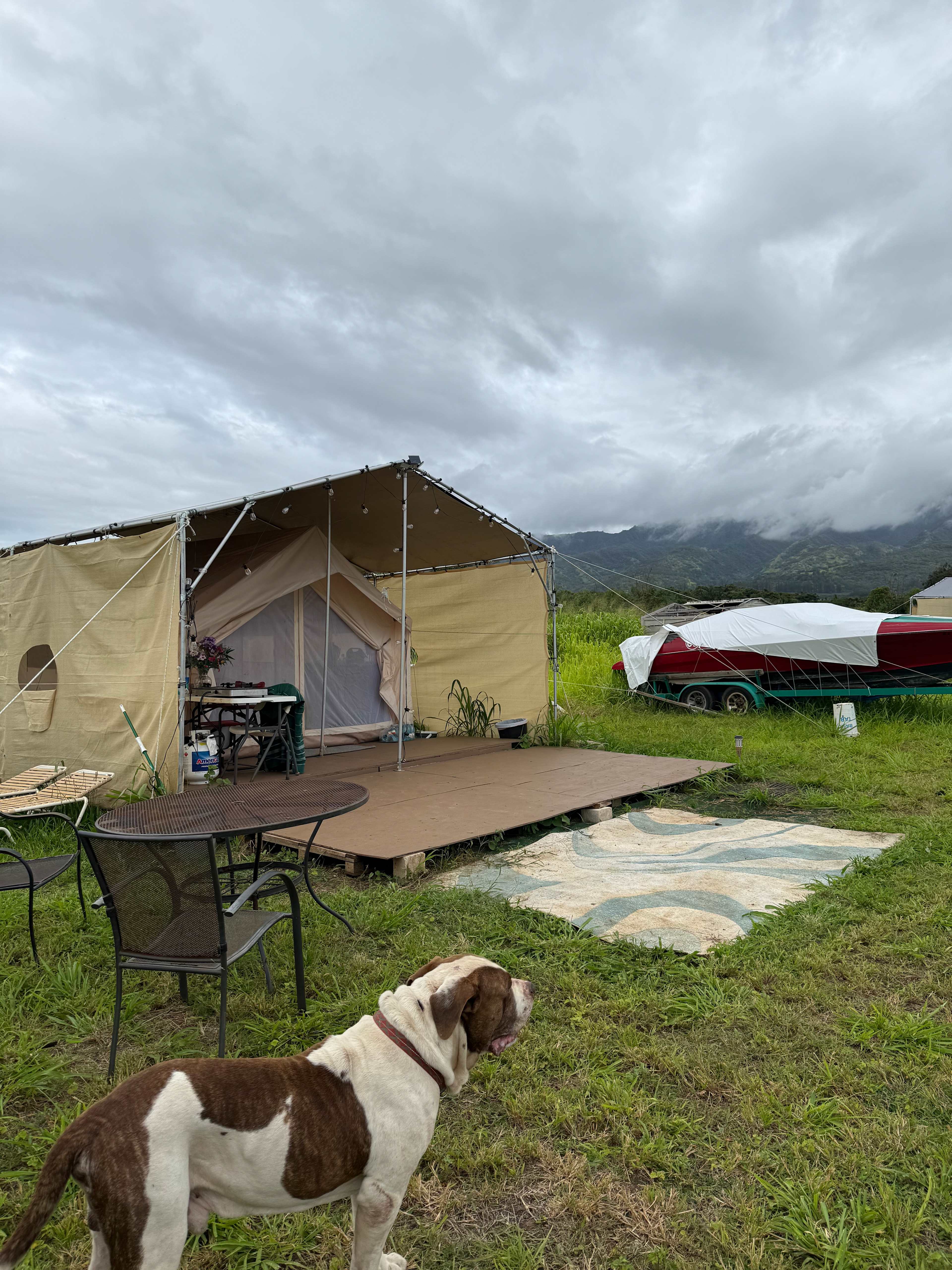 Totonami Farm