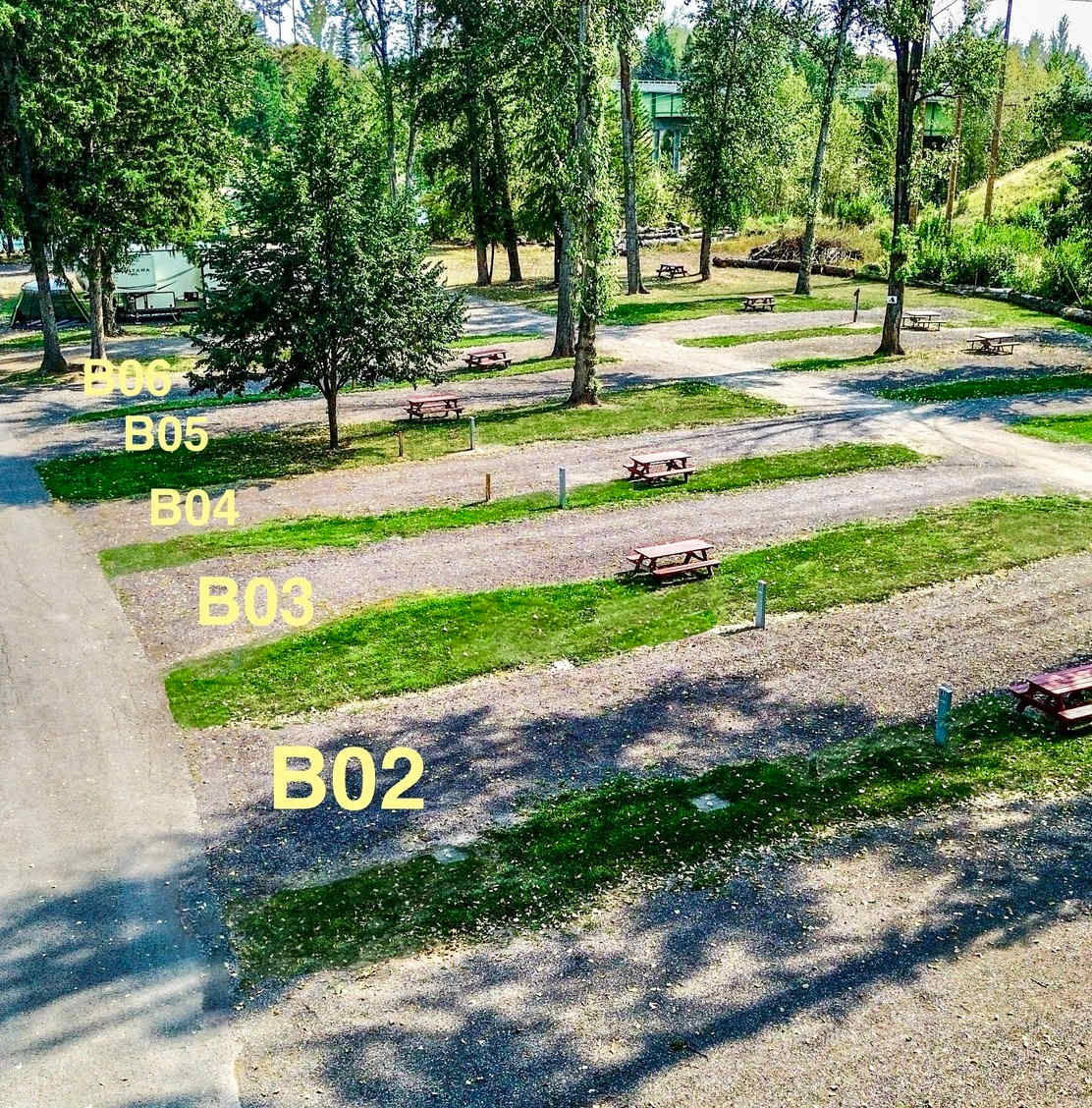 Picture of the site