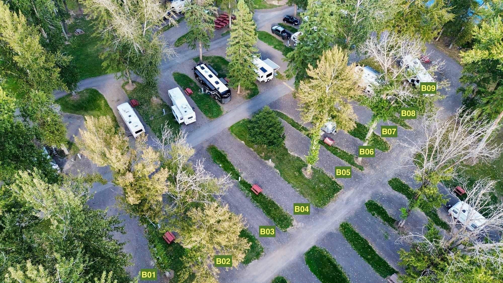 Picture of the site