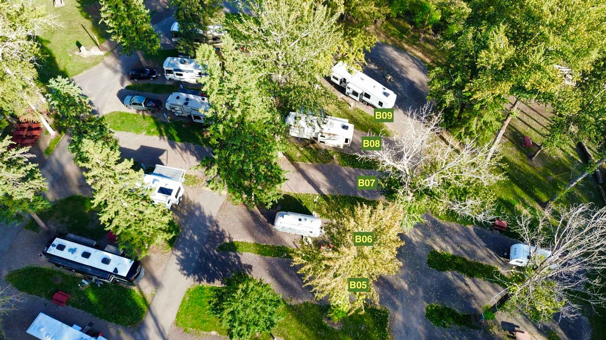 Picture of the site