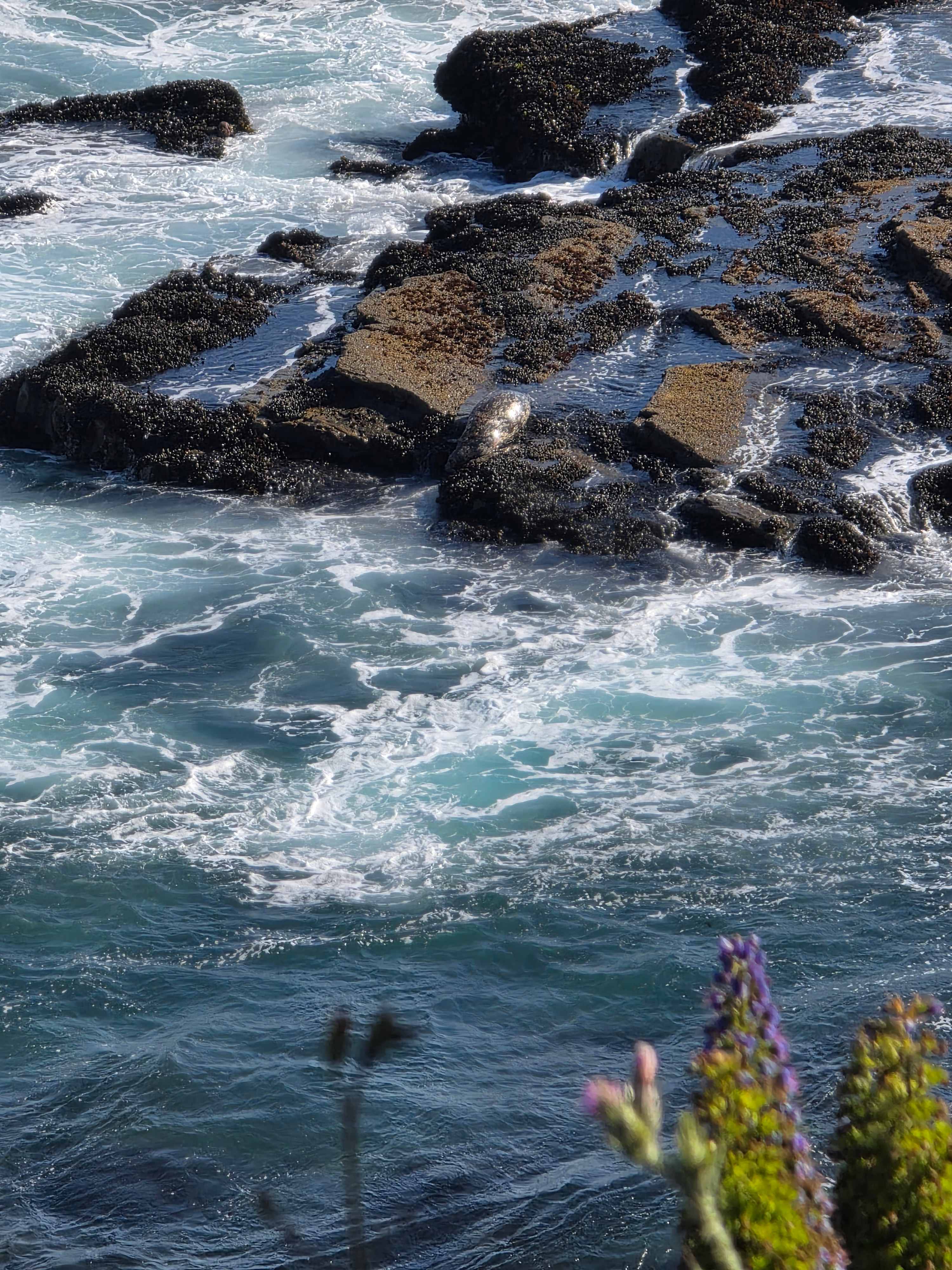 Timber Cove Campground