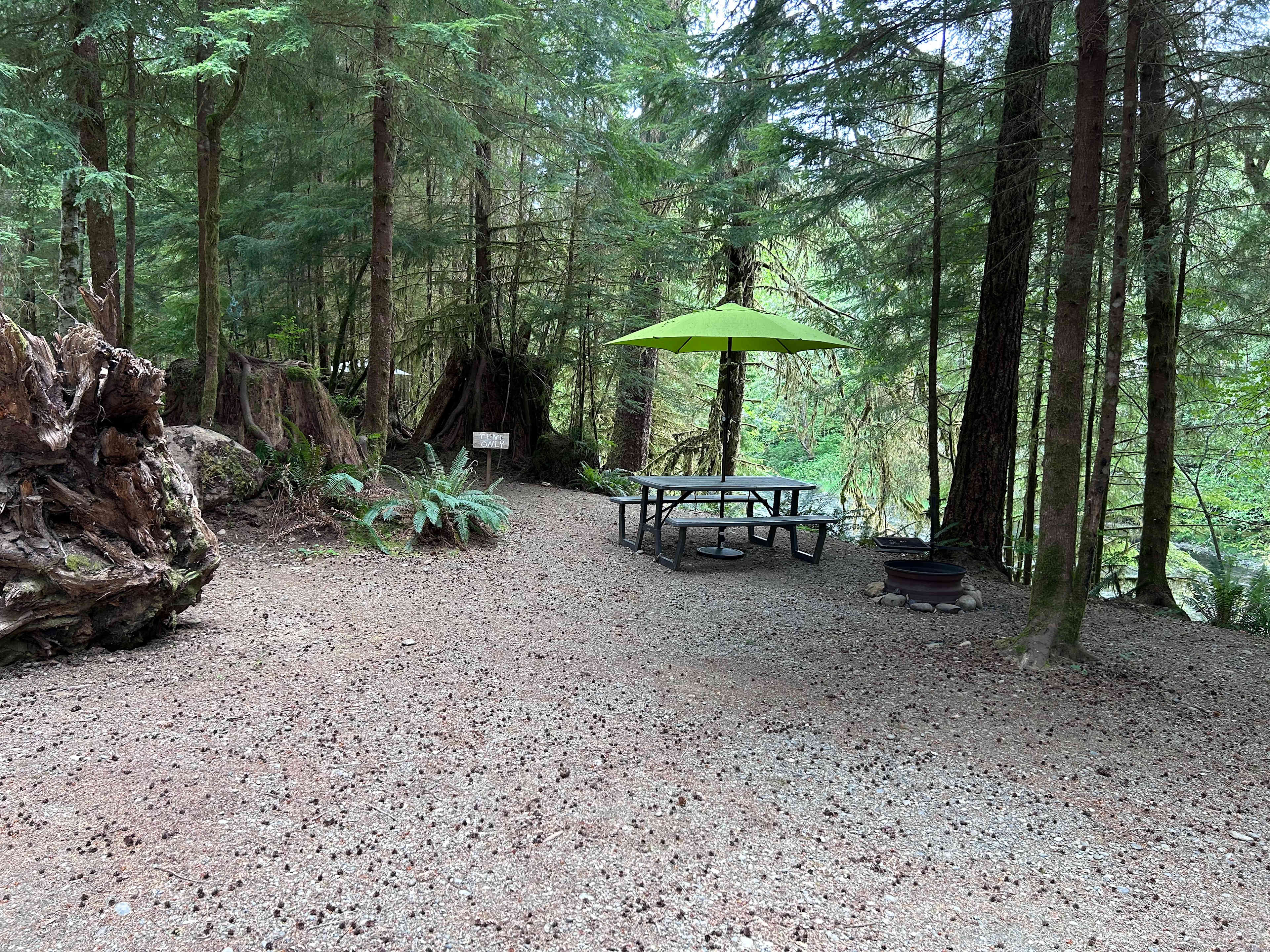 Picture of the site