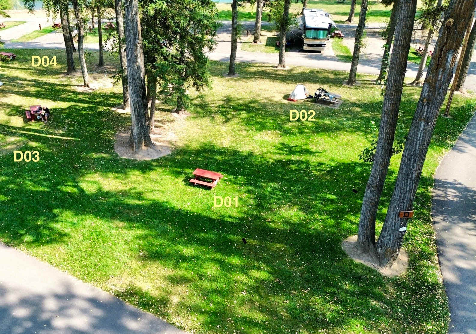 Picture of the site