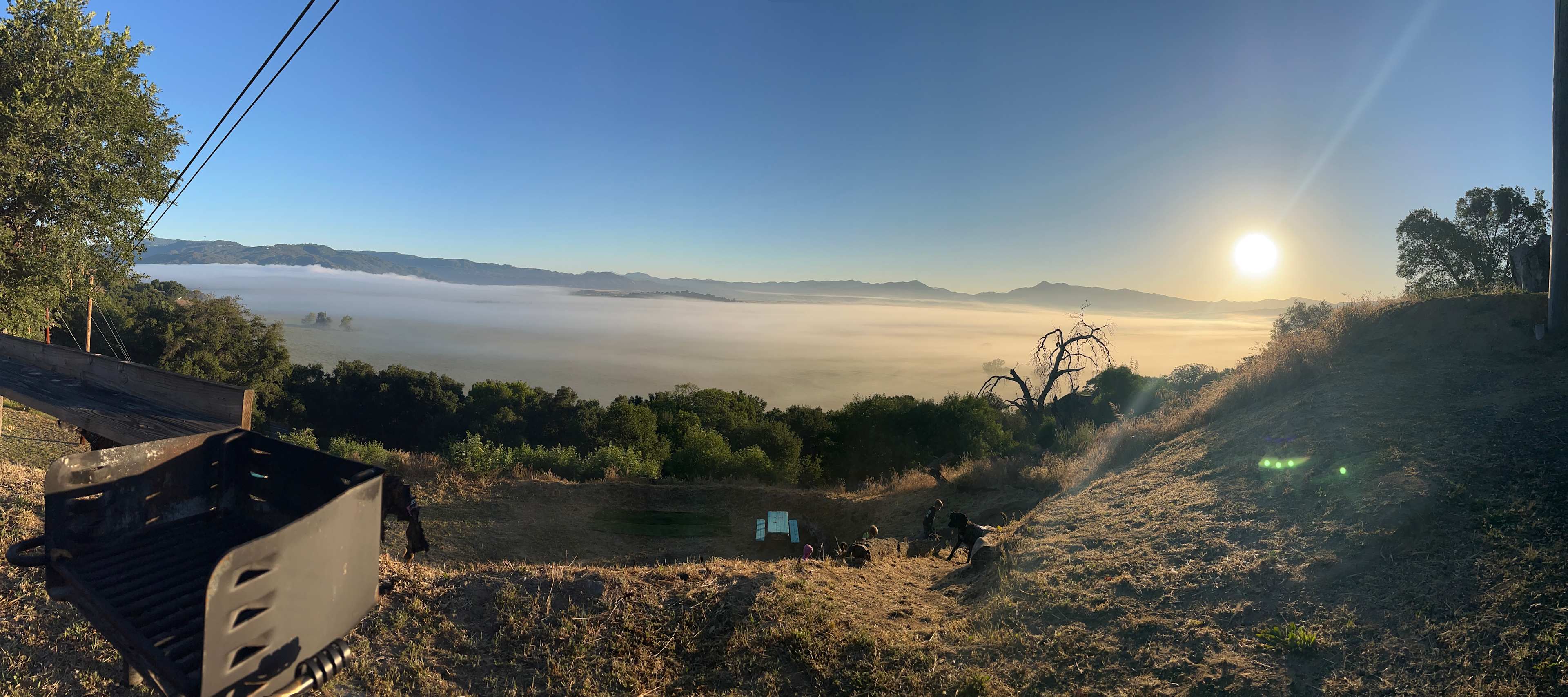 Morning fog