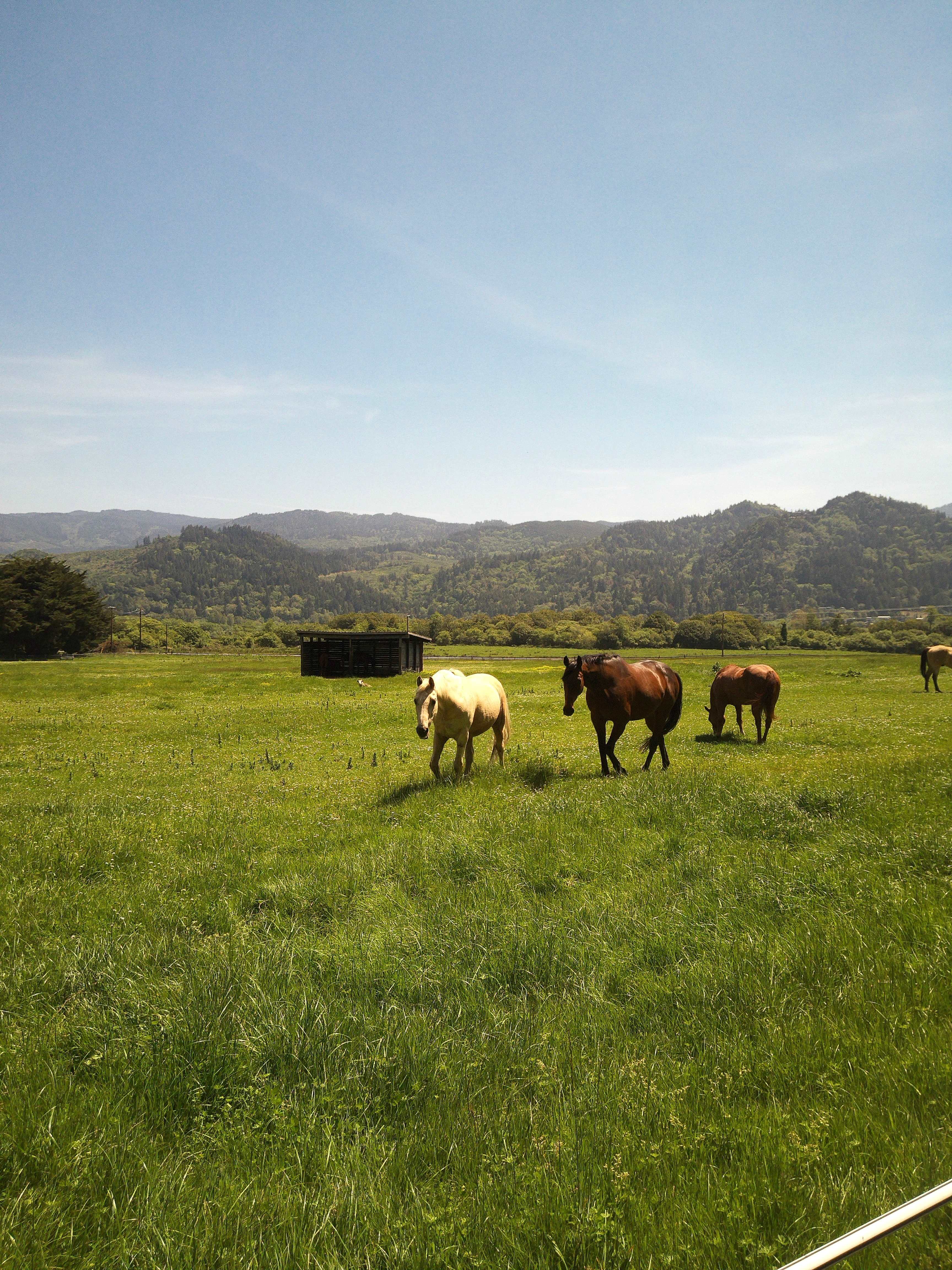 Cornerstone Ranch
