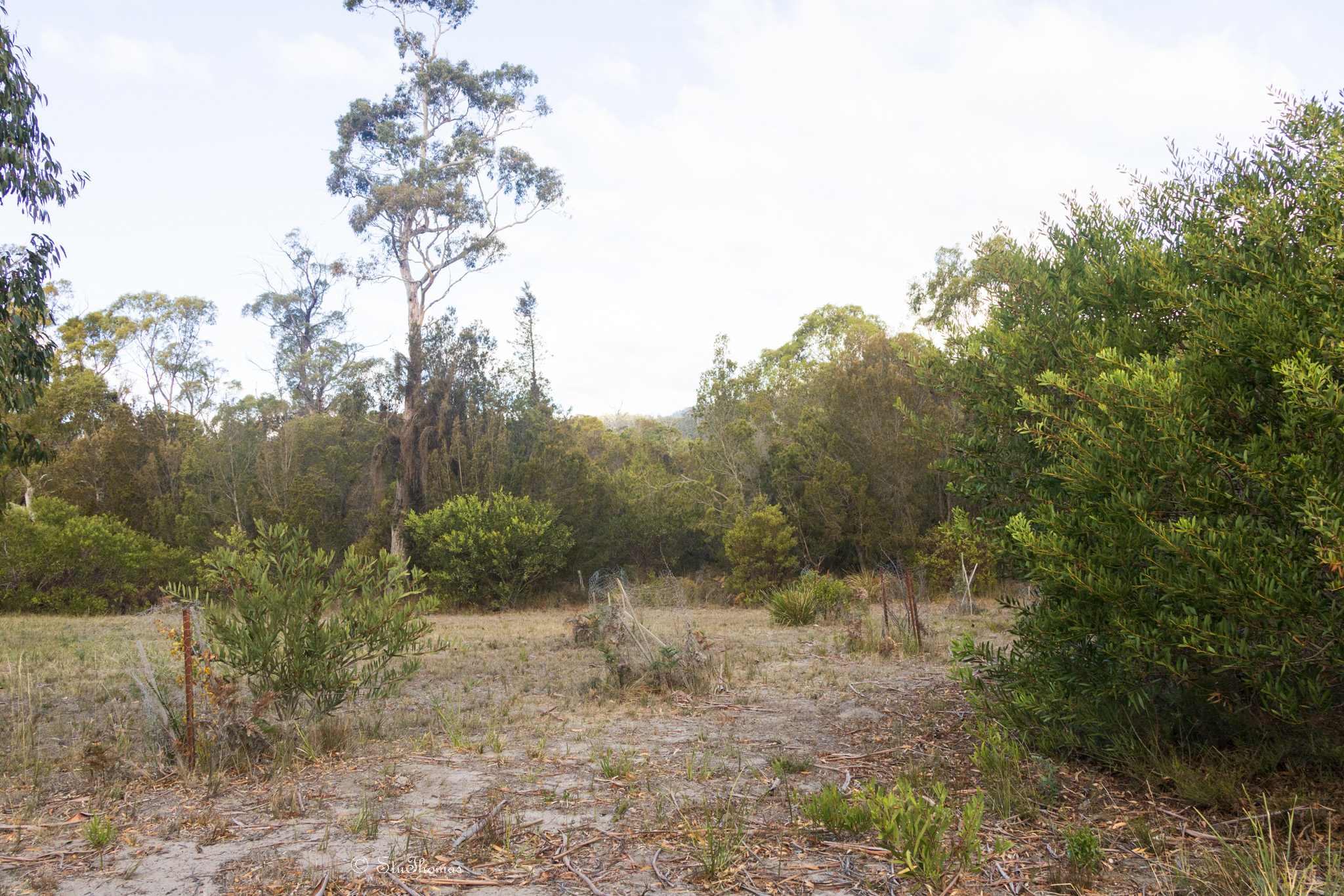 Picture of the site