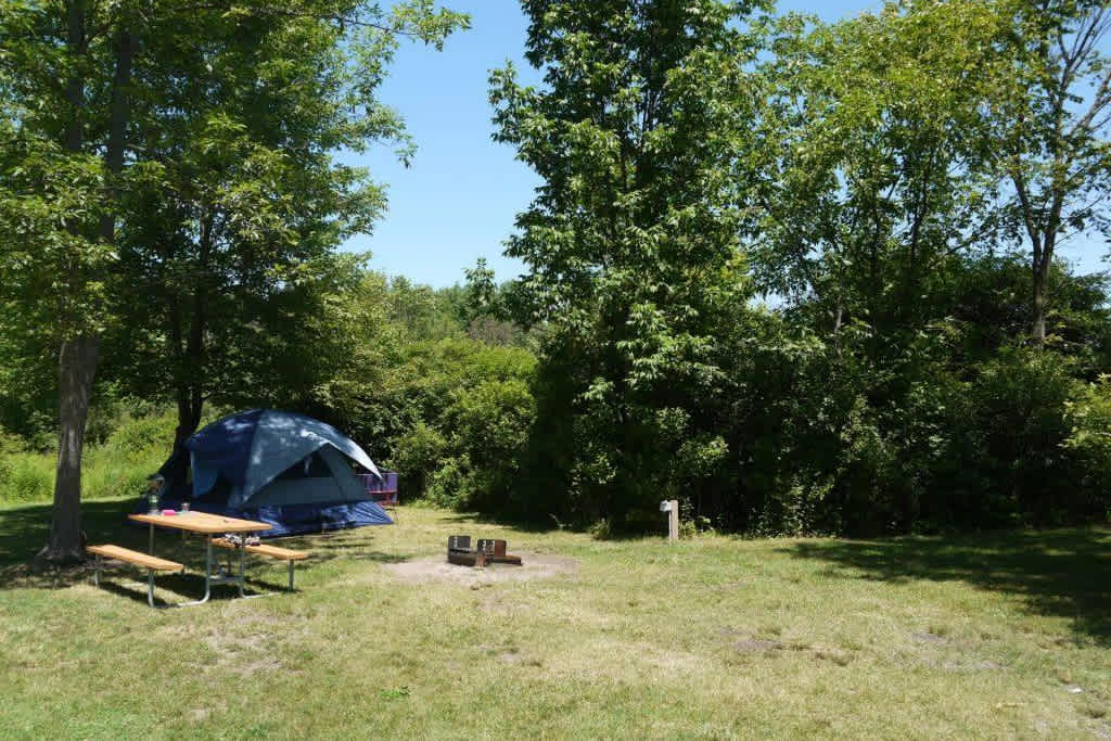 Picture of the site