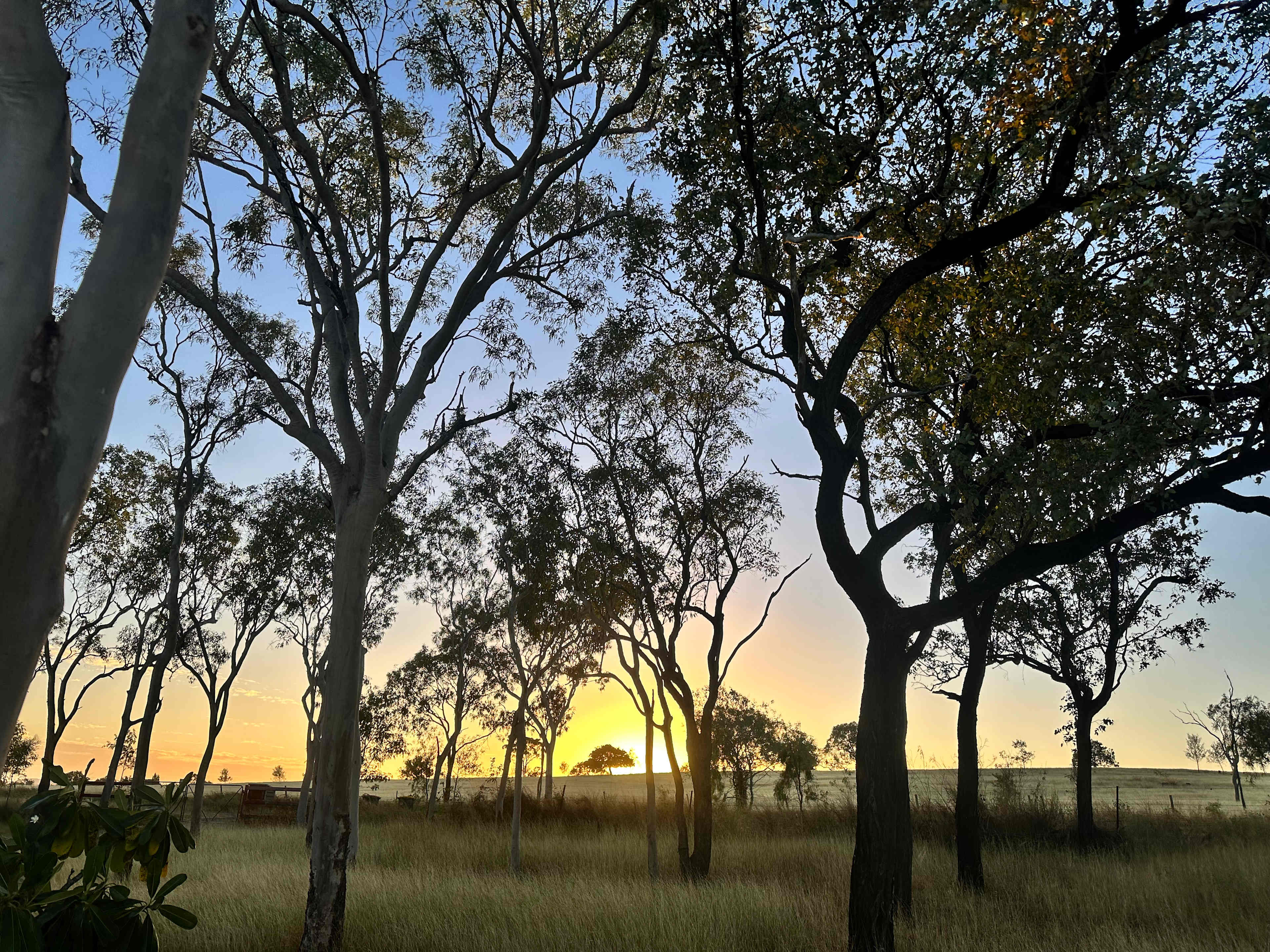 Laurel Bank Farm laurel-bank.com.au