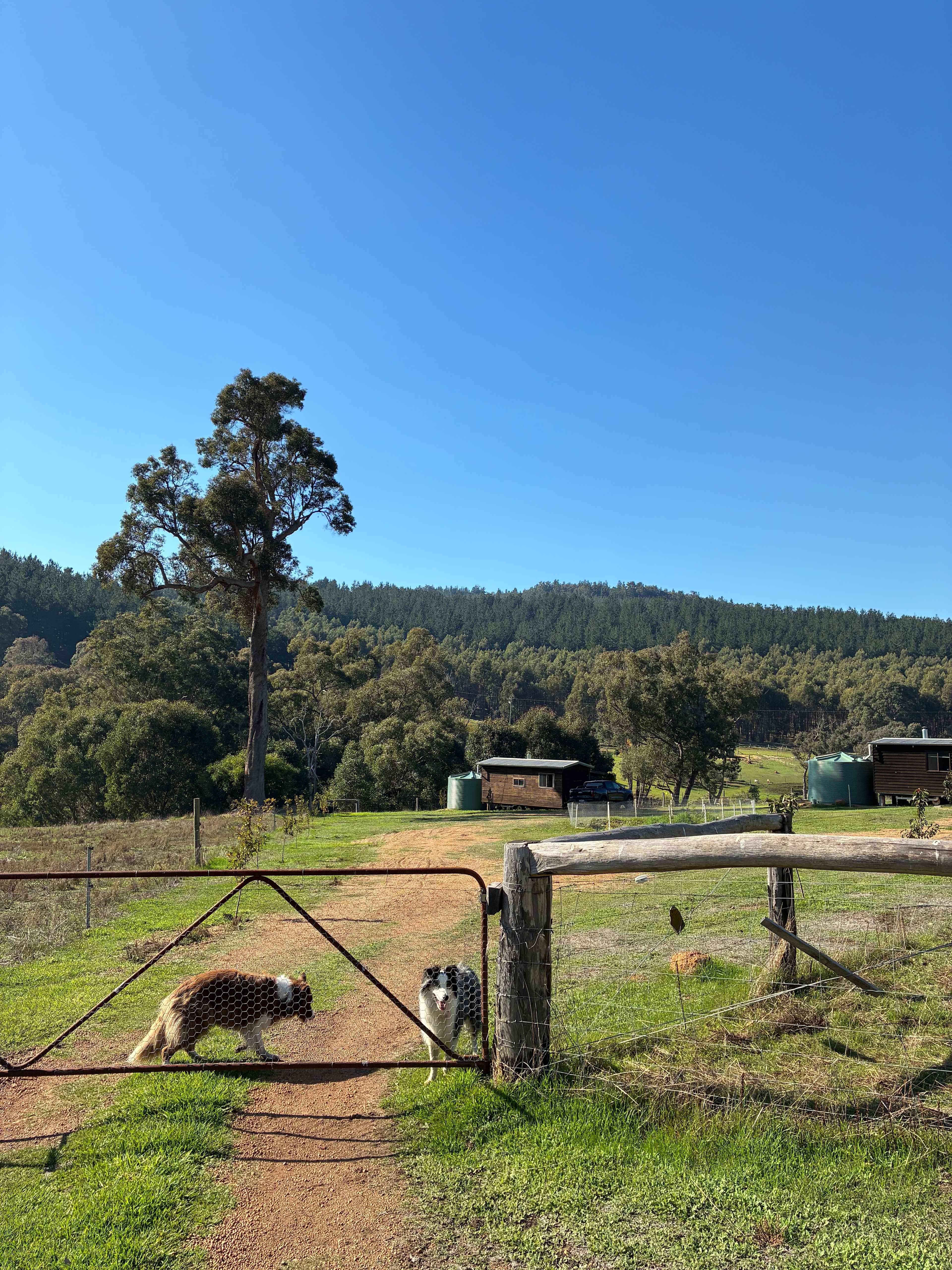 SunnyBrook Farm