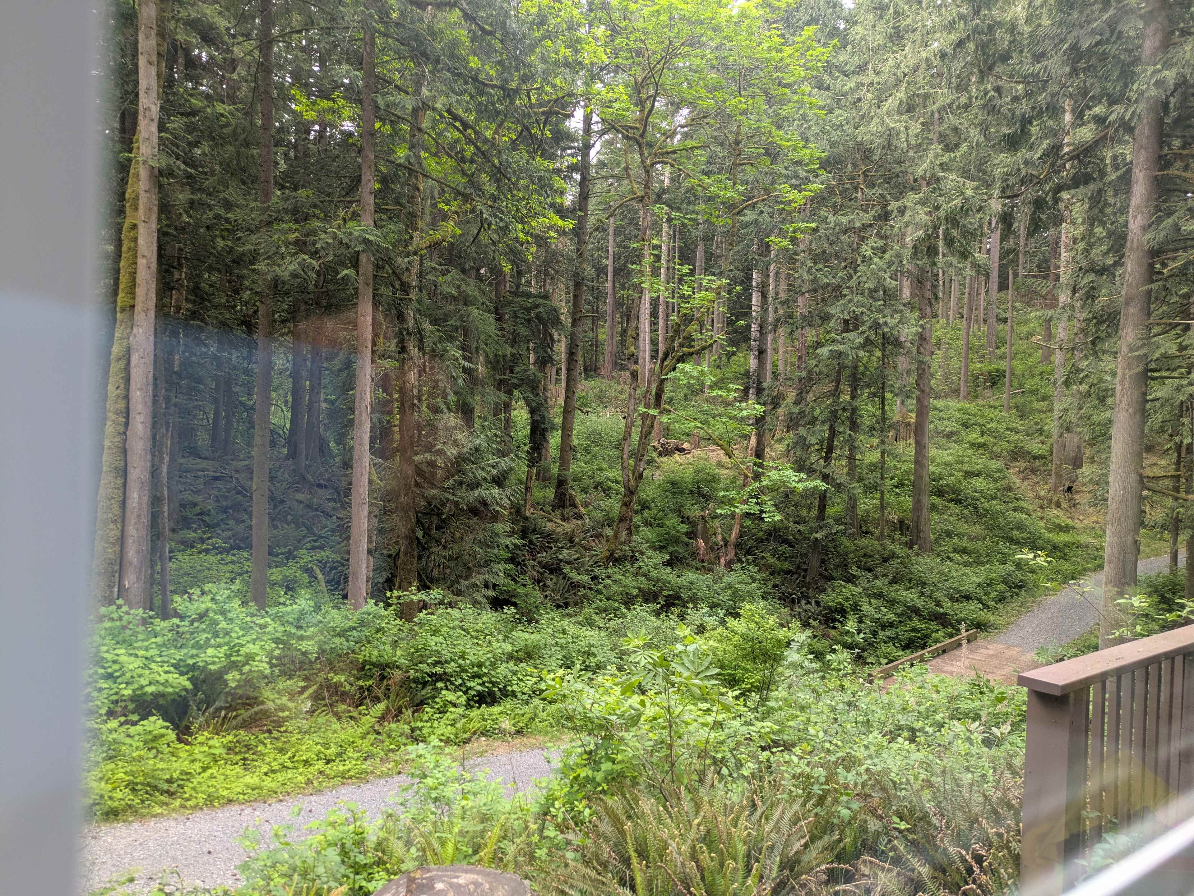 View from the window 