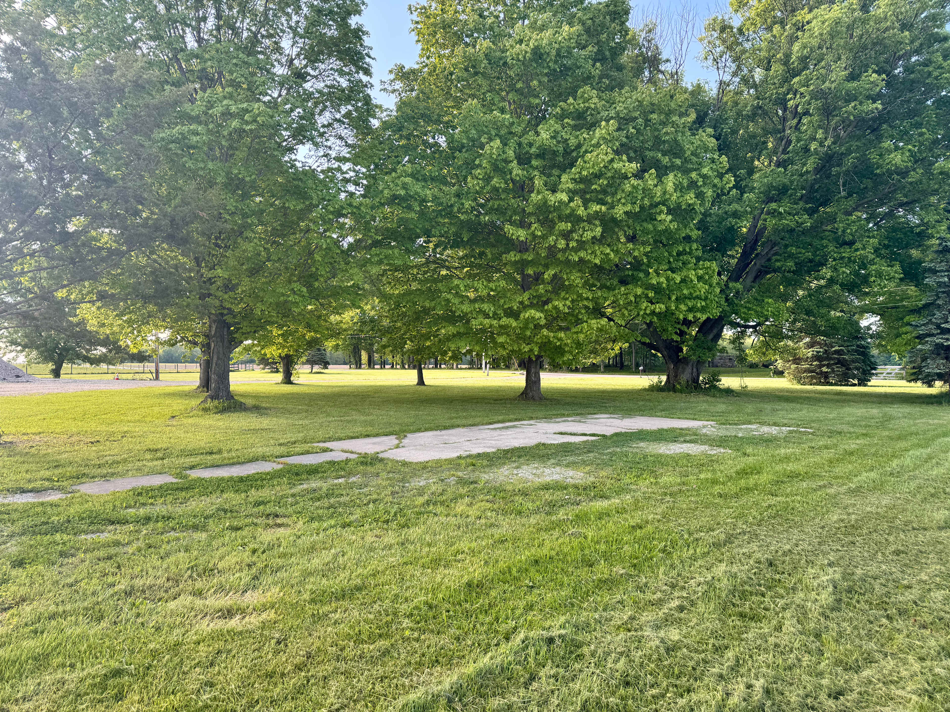 Picture of the site