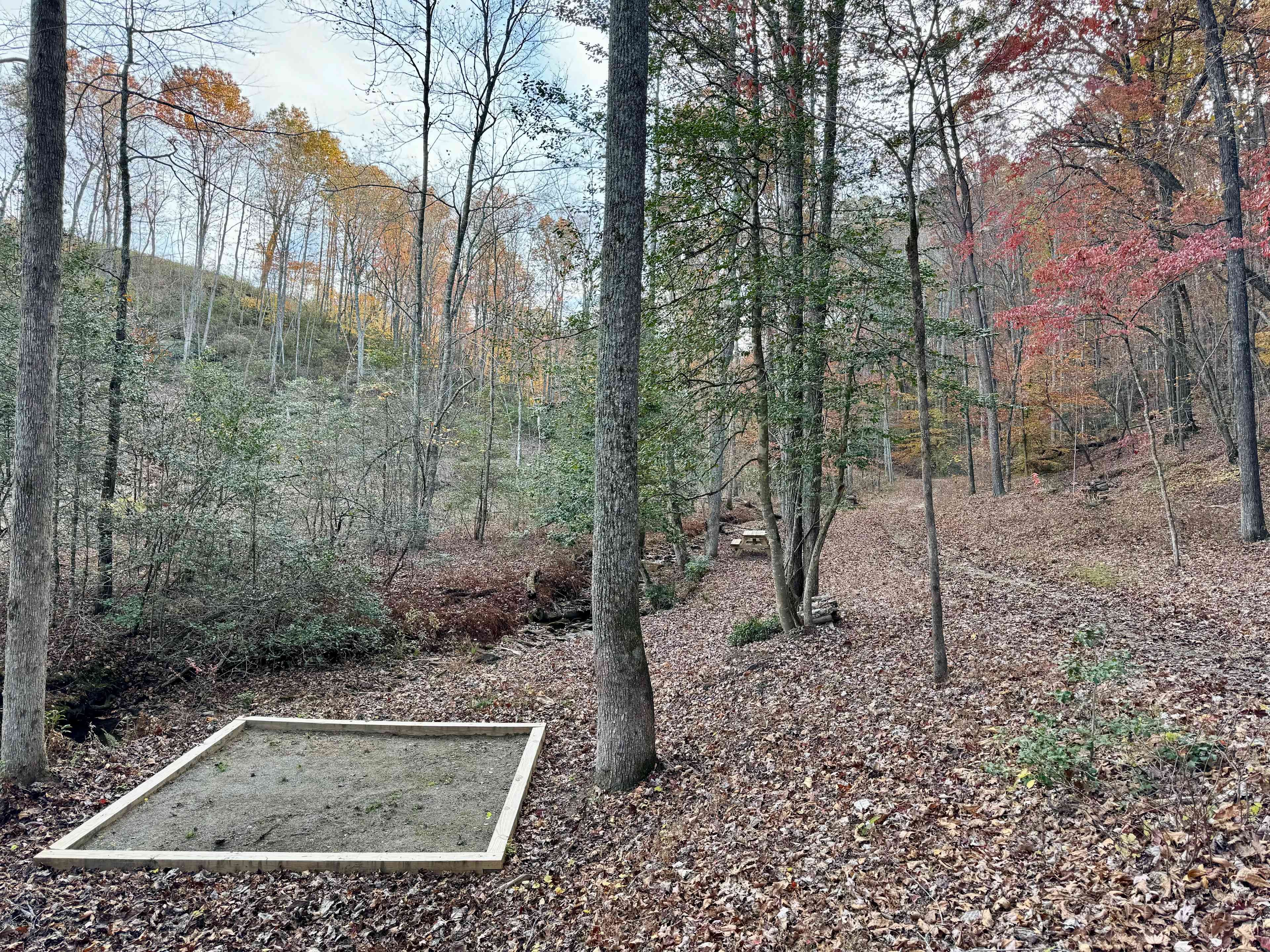 Picture of the site