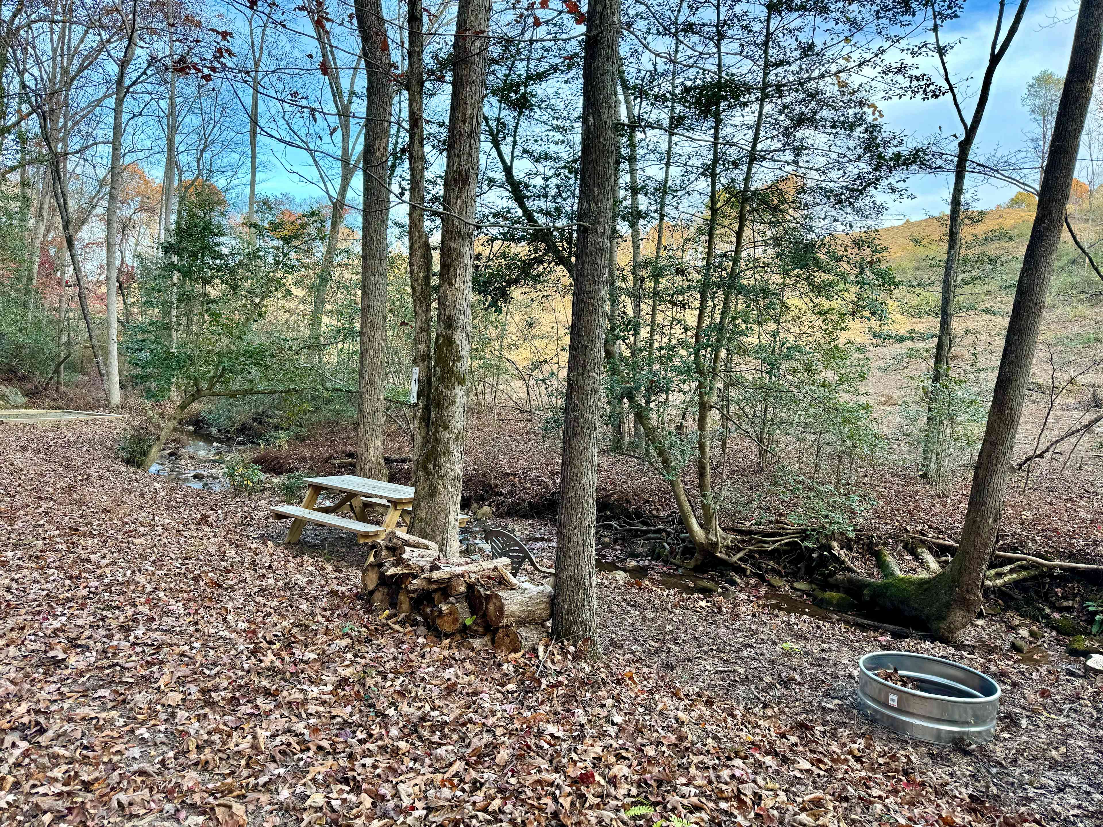 Picture of the site