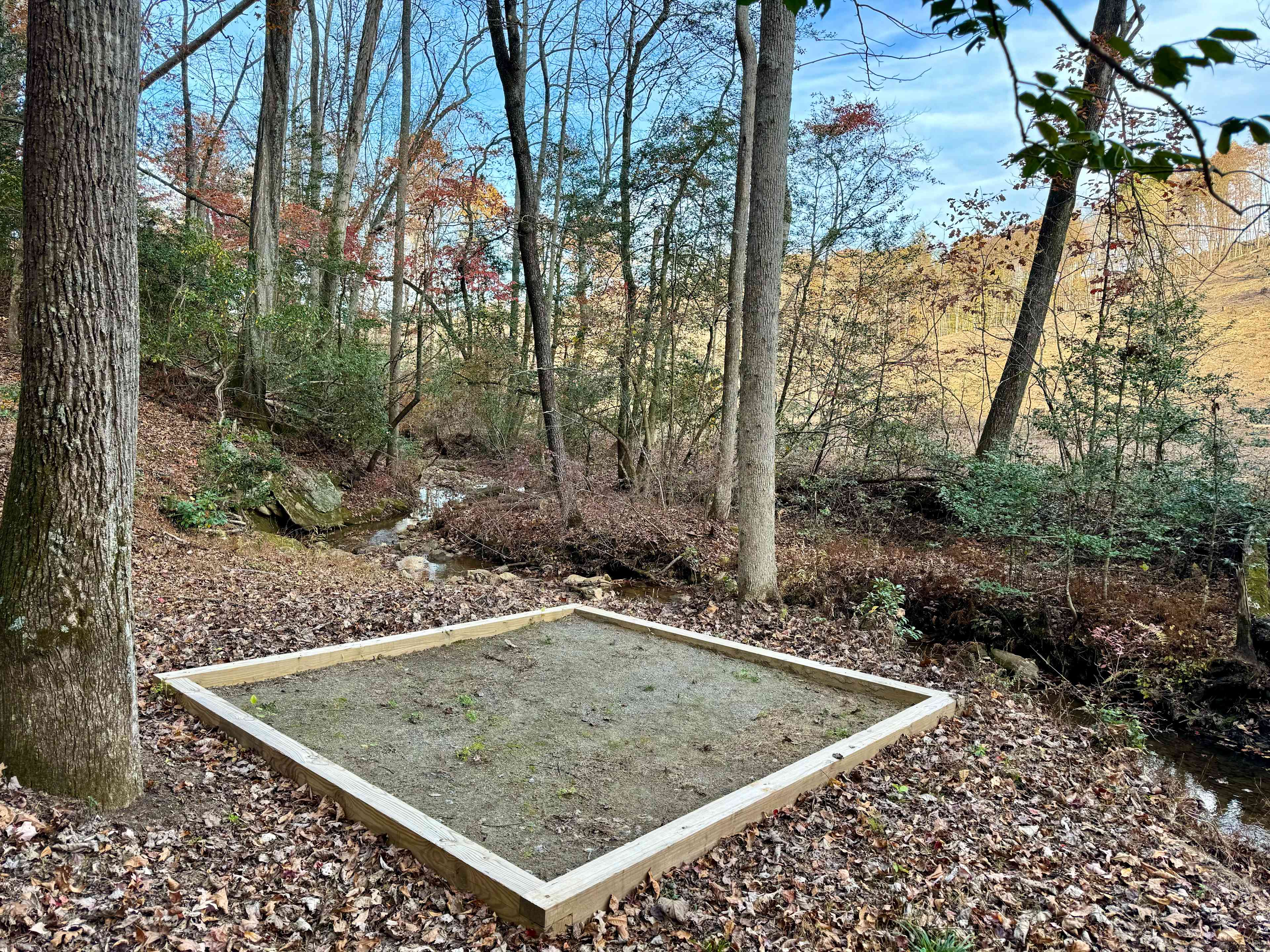 Picture of the site