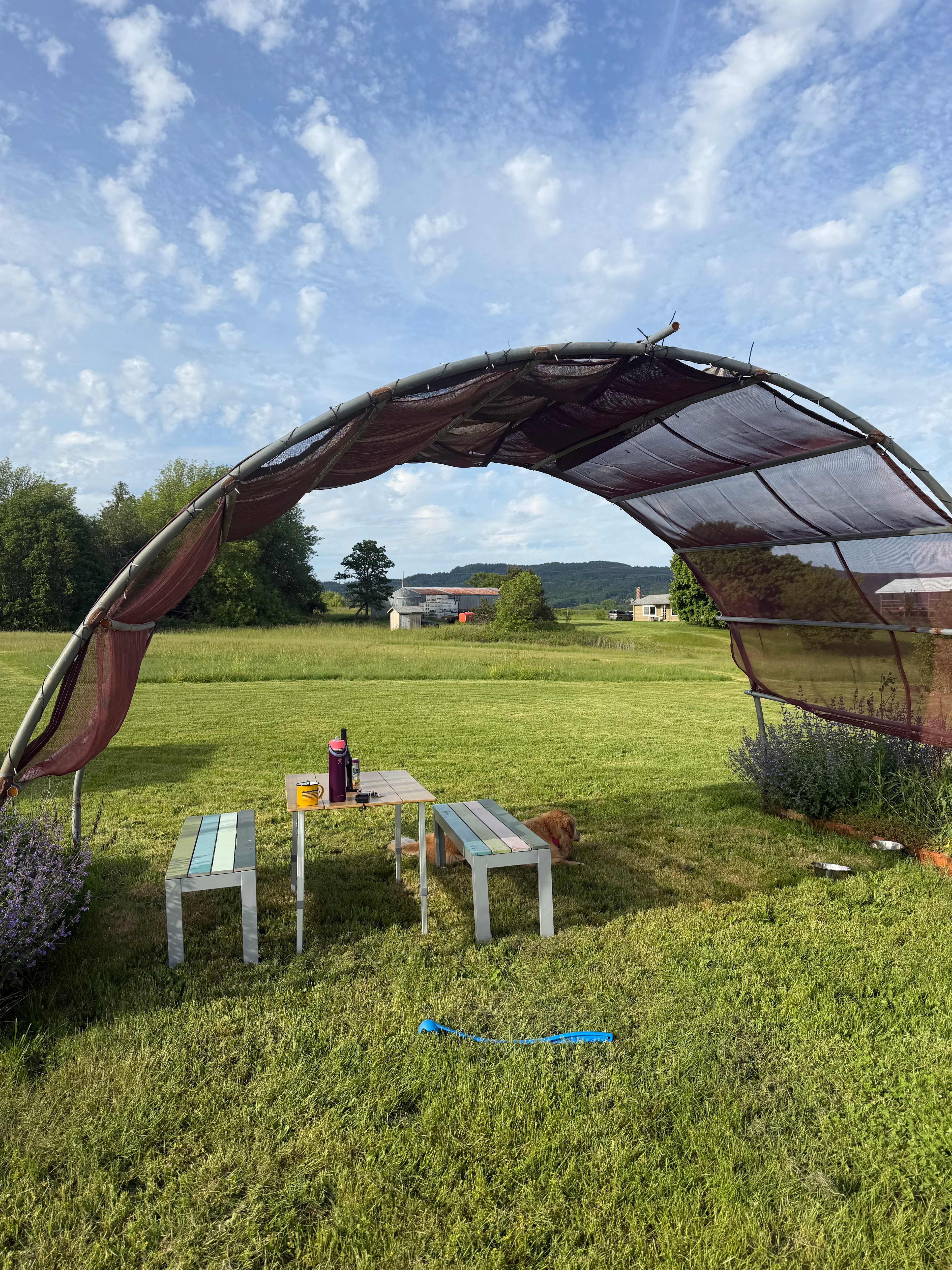 Roshambo ArtFarm