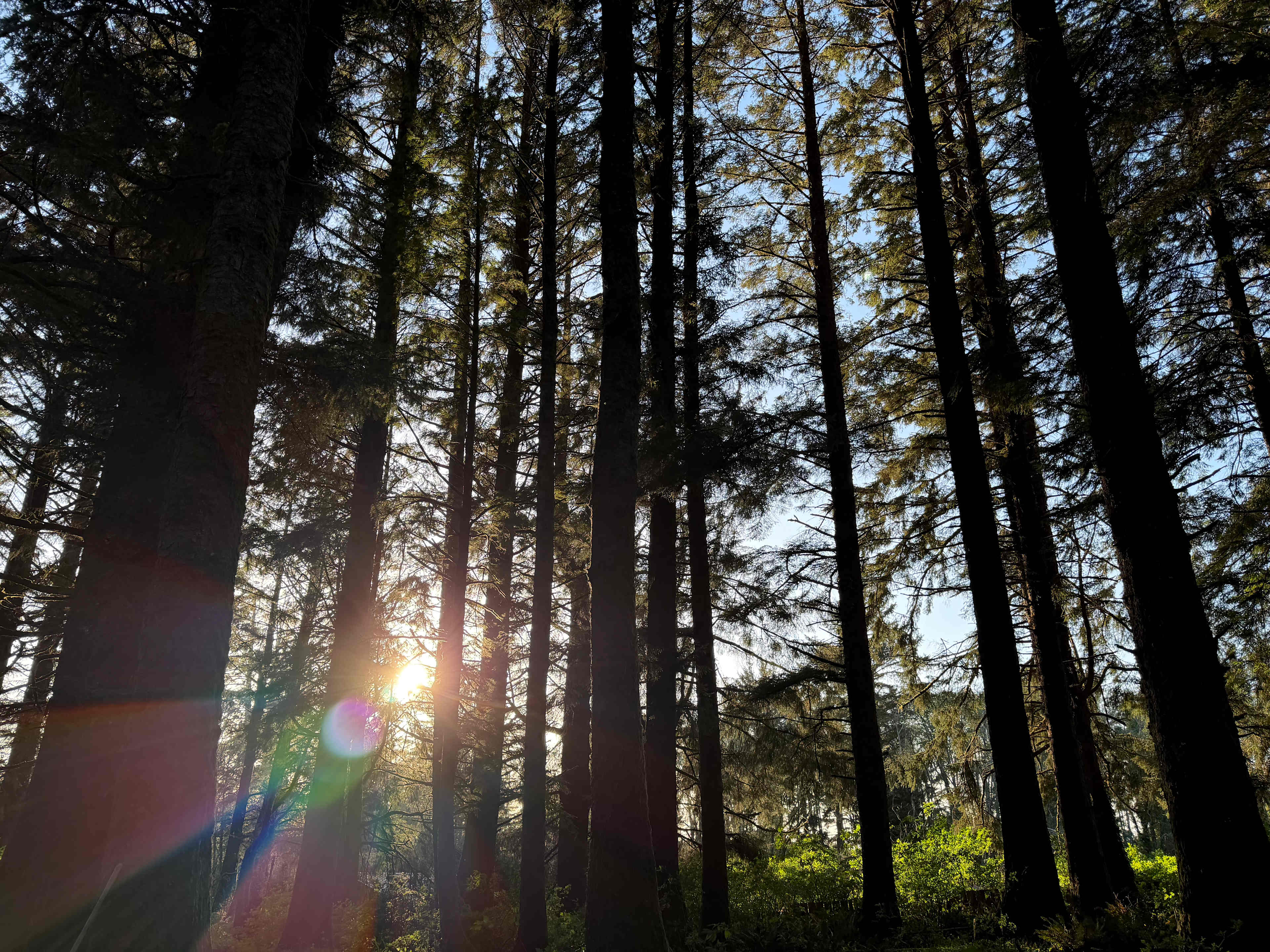 Lost Coast Adventure Camp
