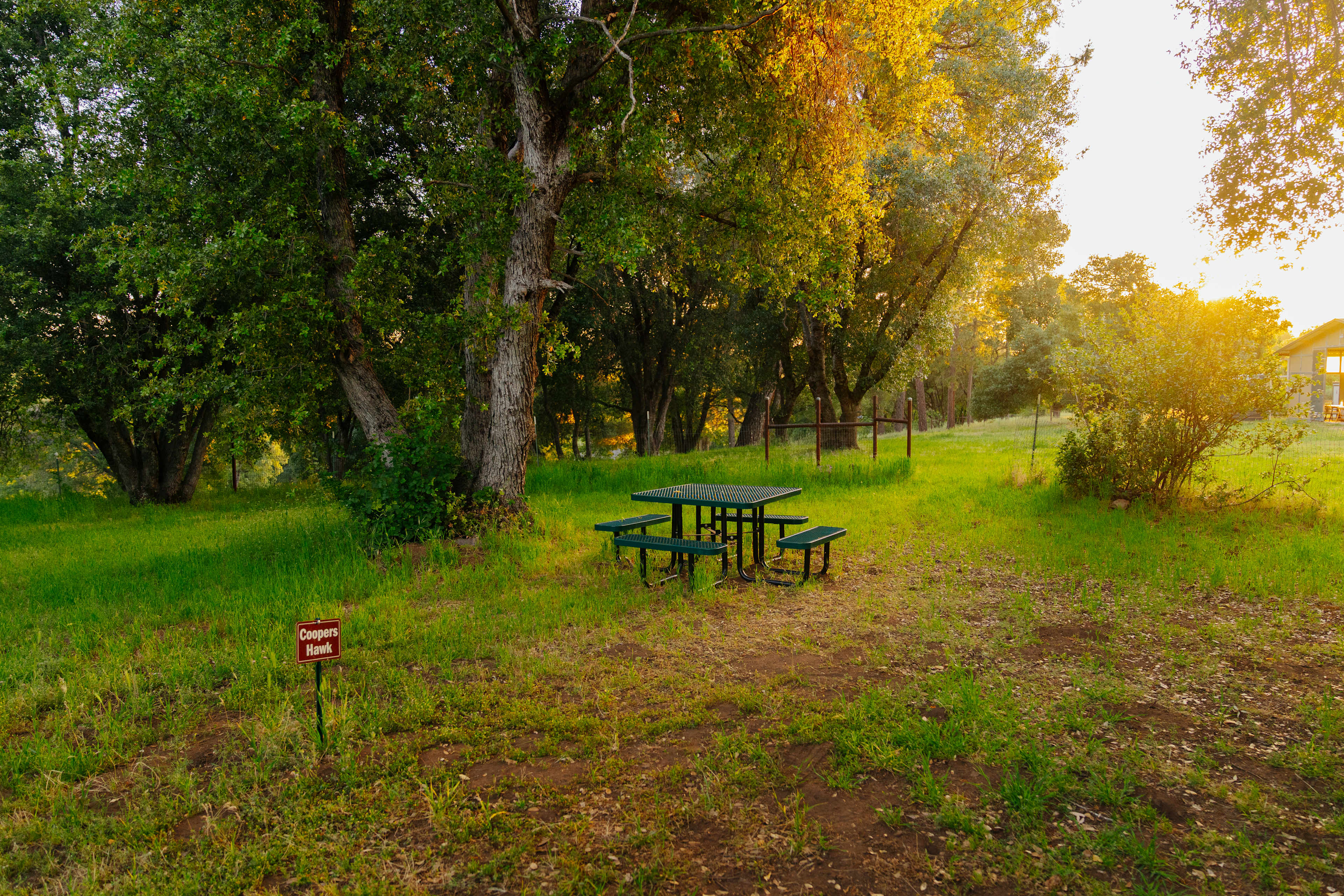 Red Tail Ranch at Yosemite