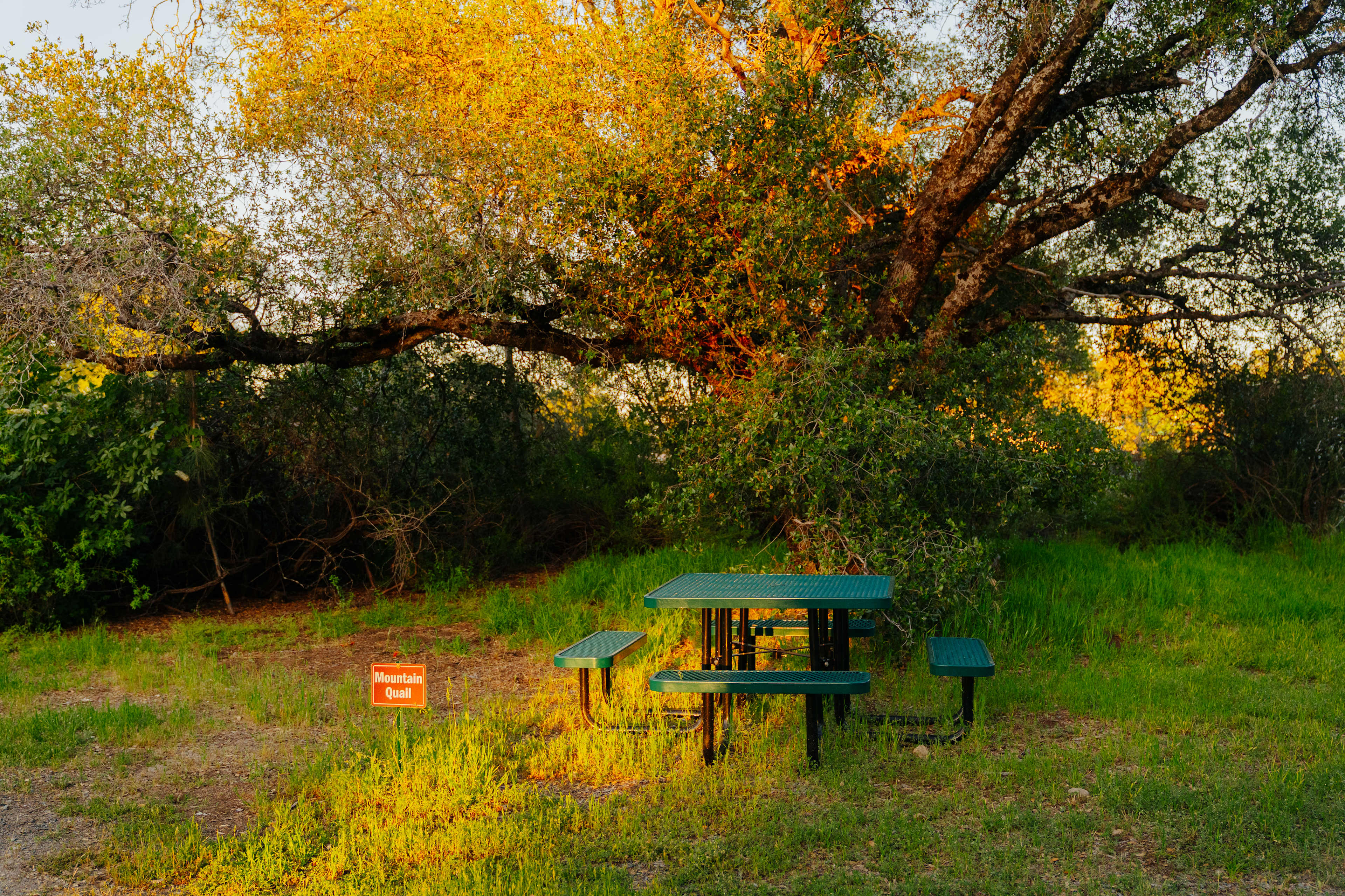 Red Tail Ranch at Yosemite