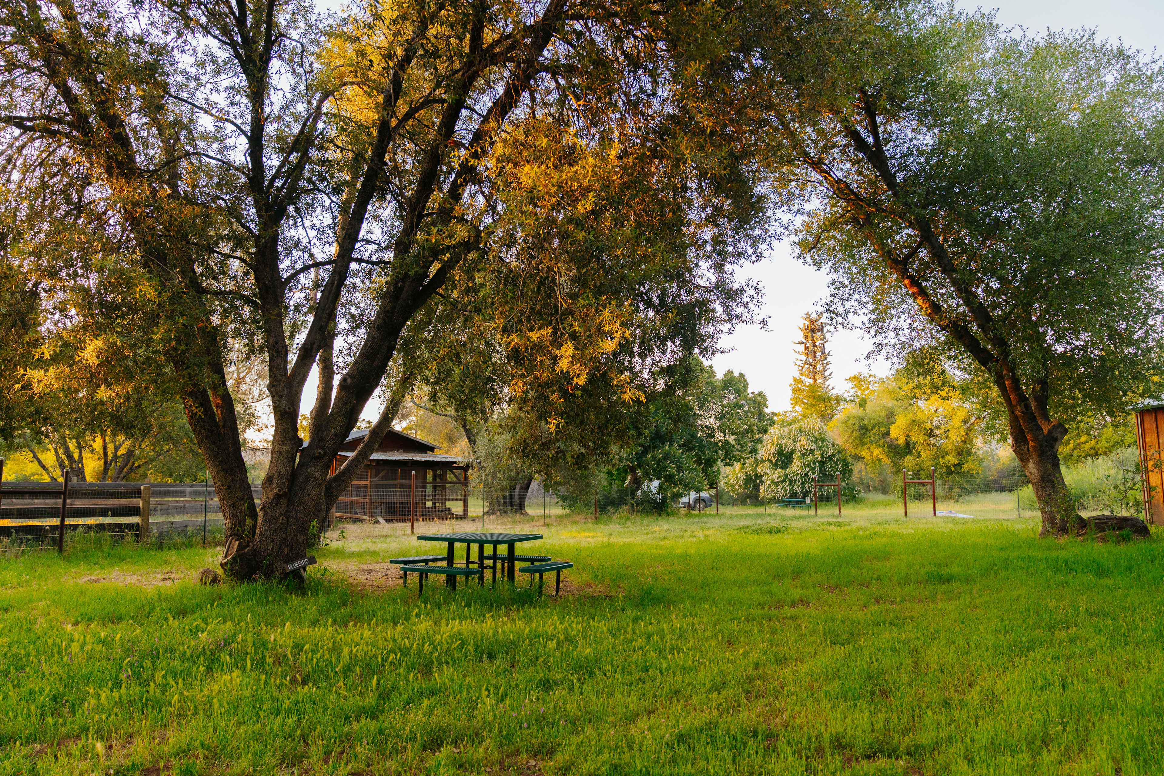 Red Tail Ranch at Yosemite