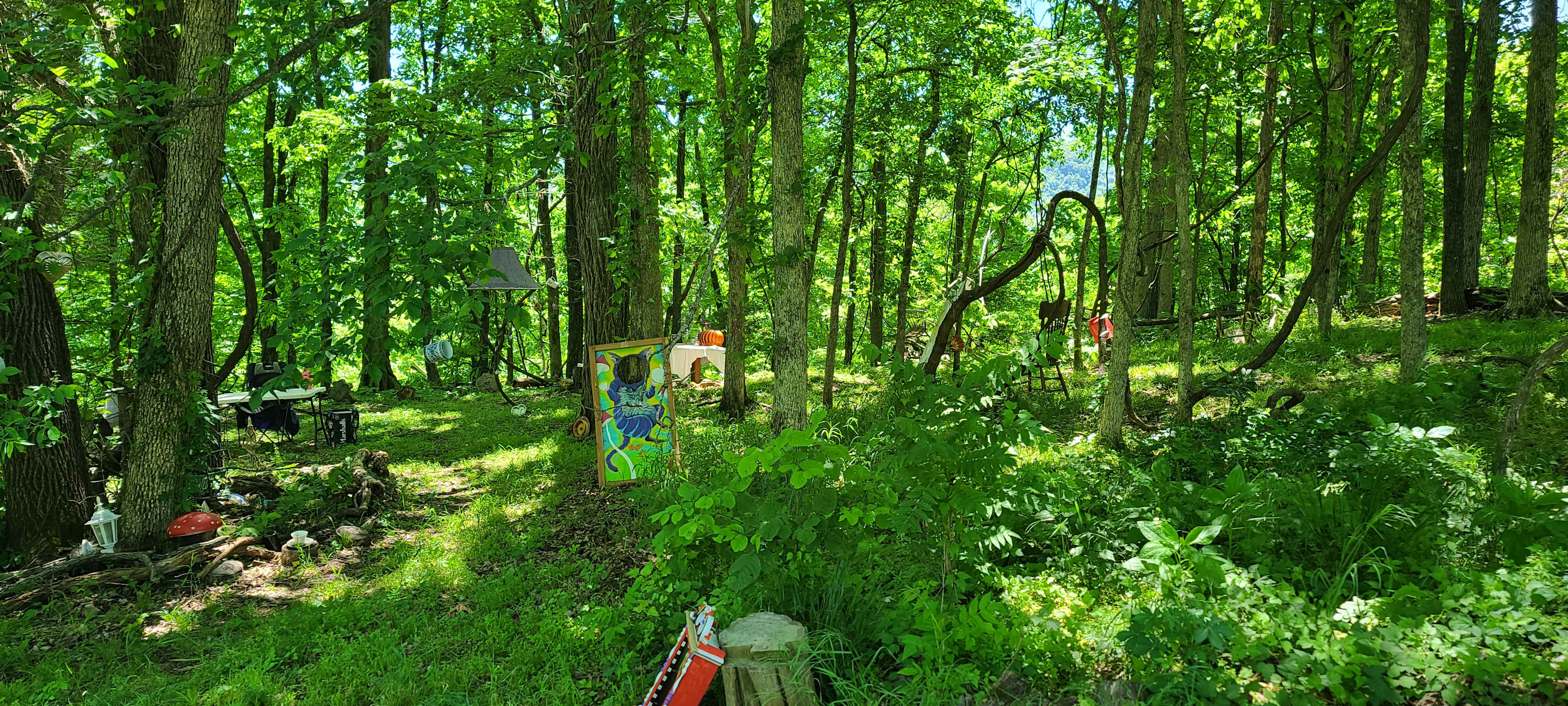 Enchanted Ozark Fairytale Camp