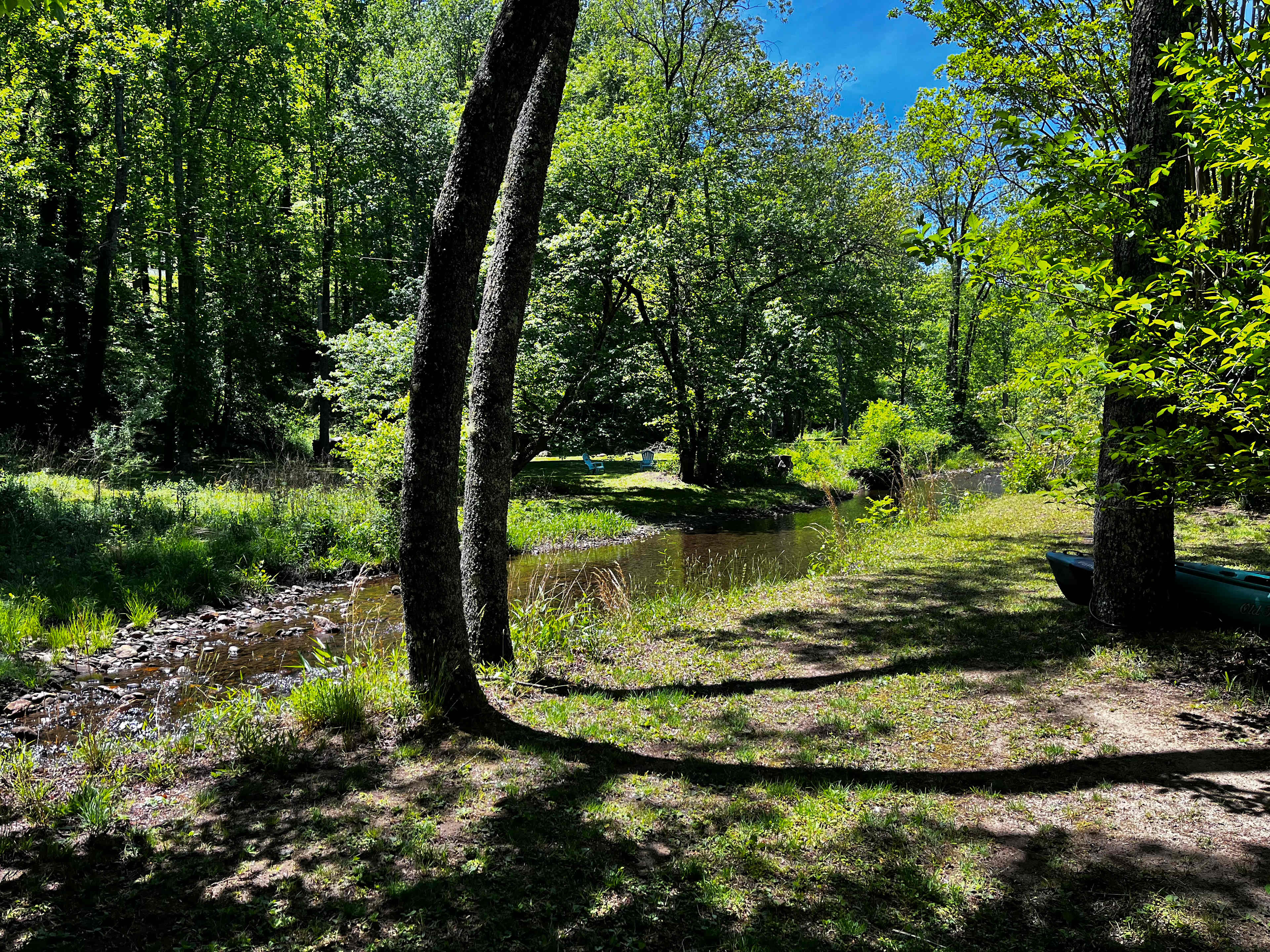 Coweeta Creek Campground