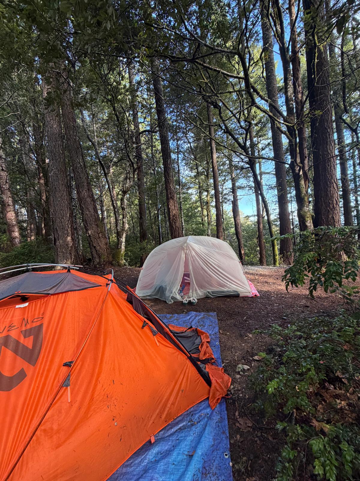 Pickle Barrel Cabin and Camp