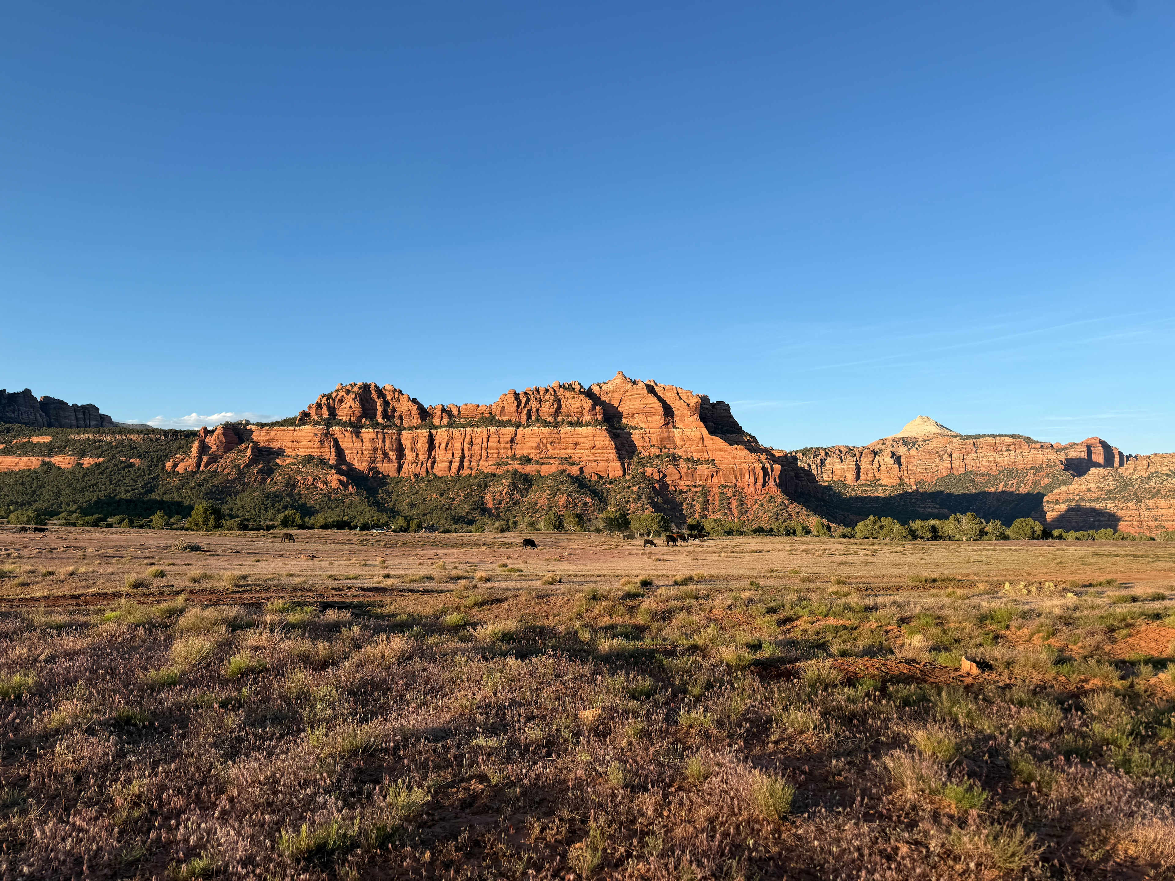 Zion Wright Ranch Eco-Camp