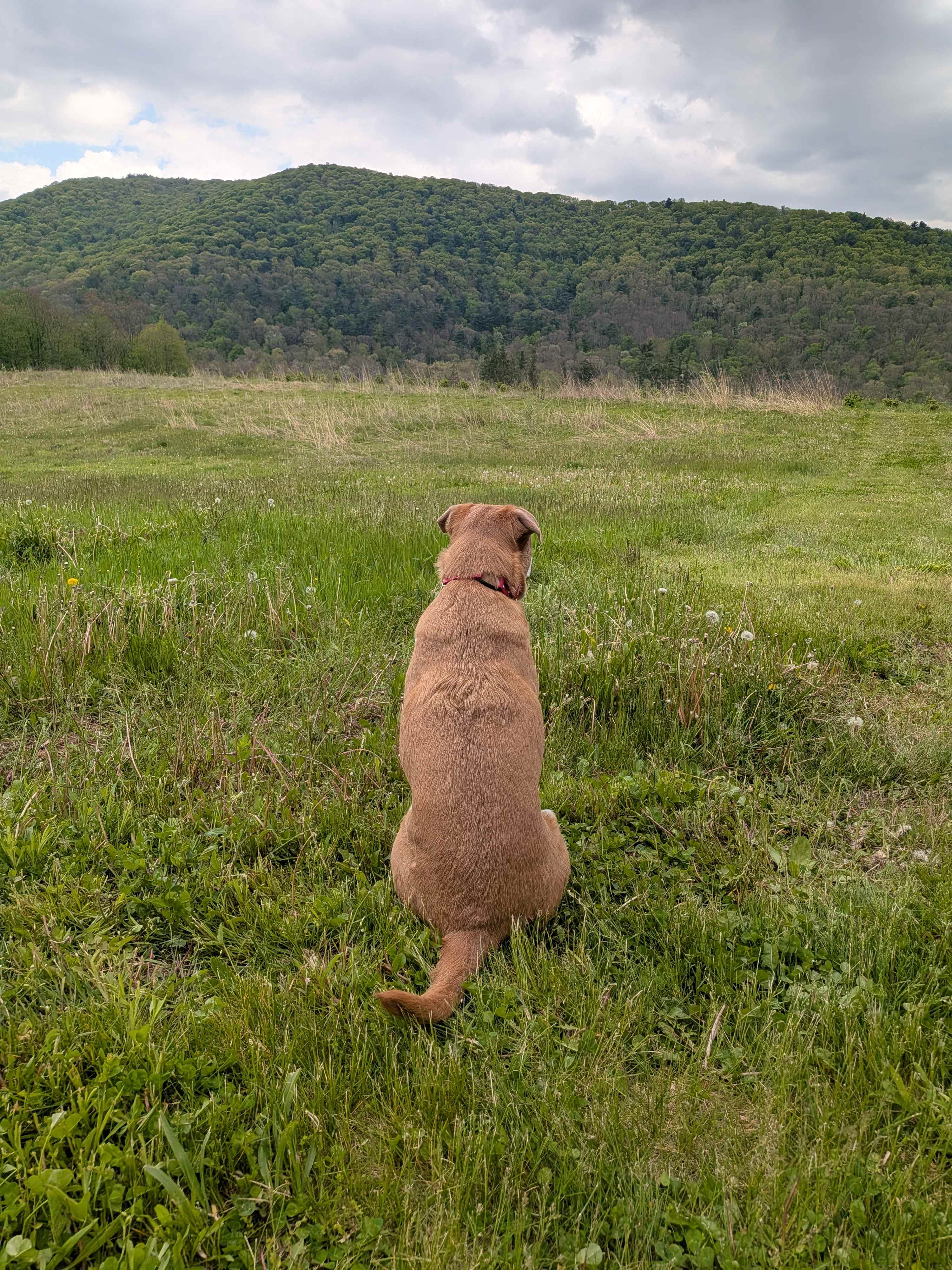 Taking it all in!