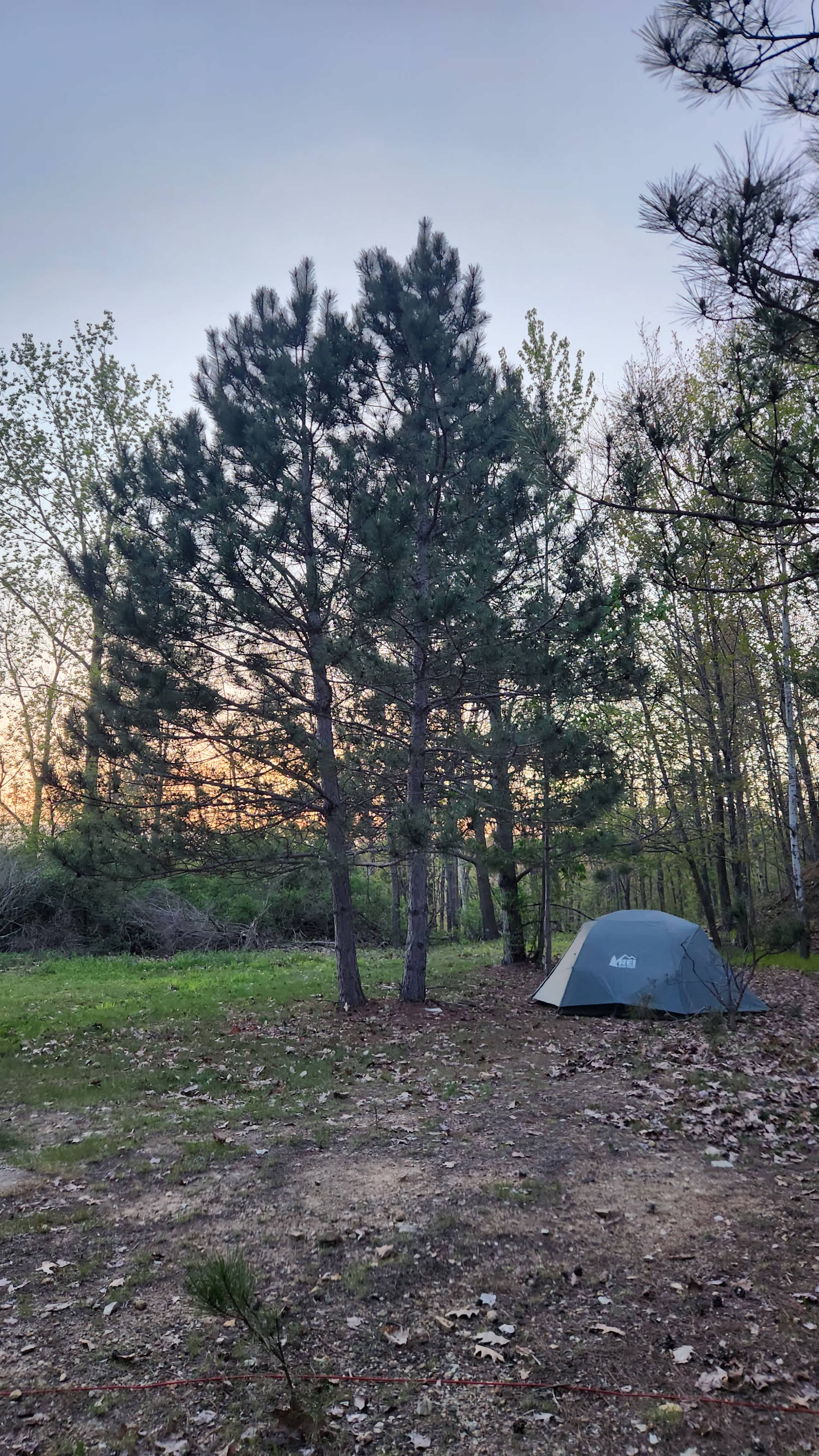 Meteor Ridge Forest