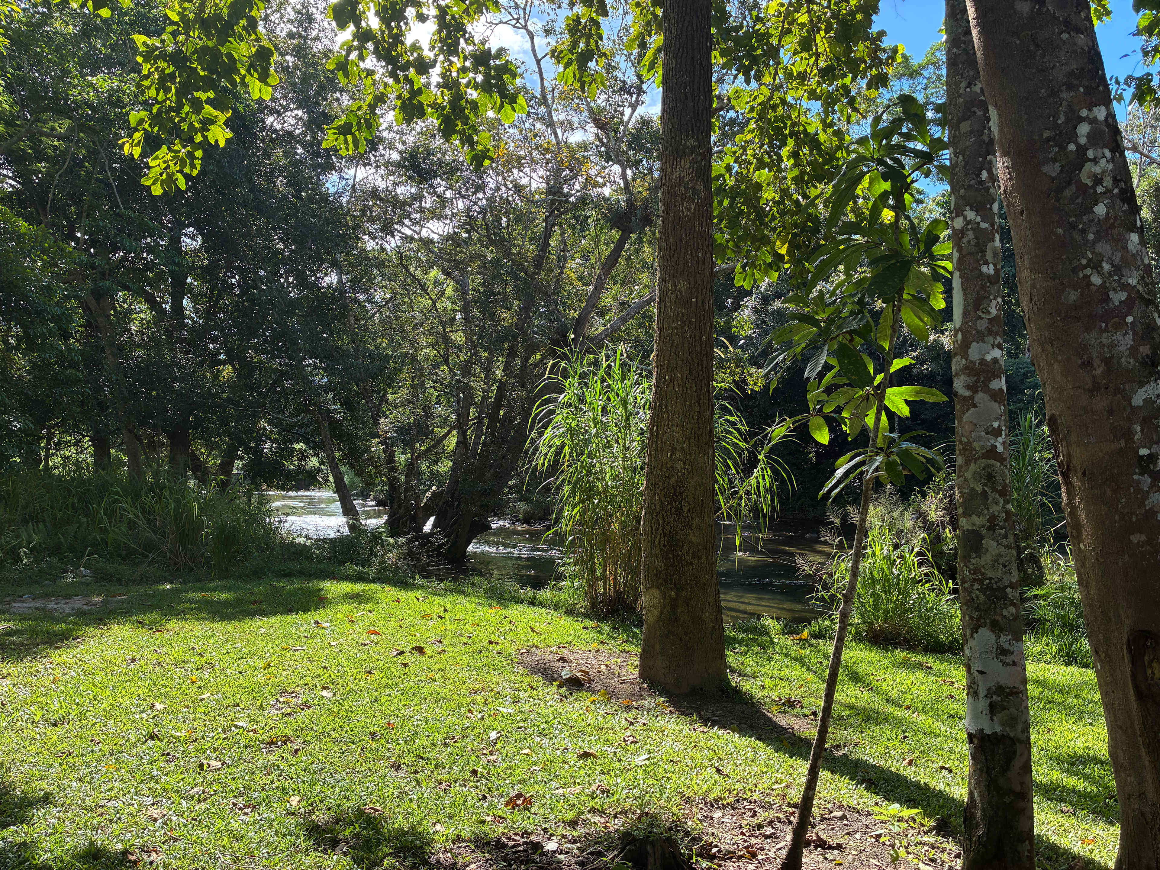The River Ranch