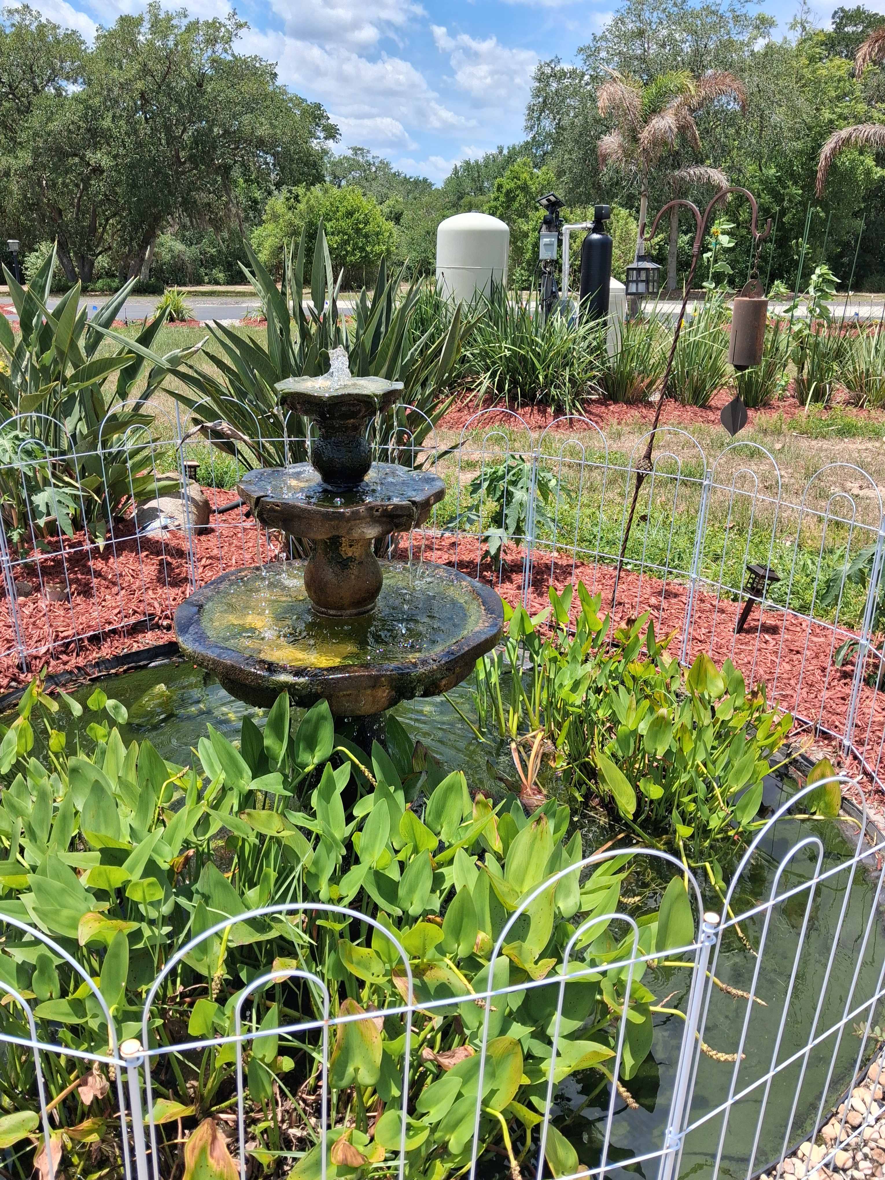 Fountain 