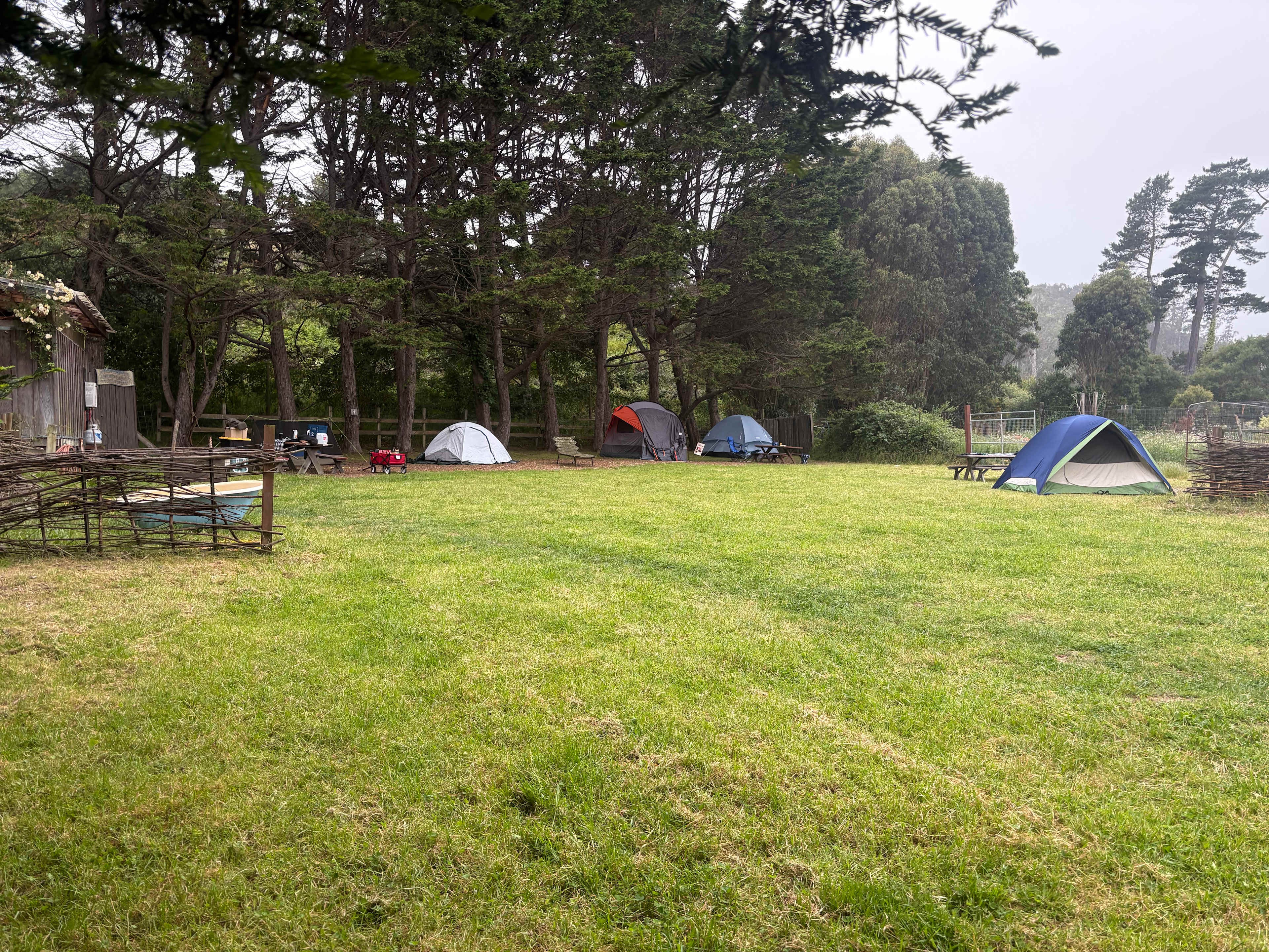 Meadow camping in Bolinas