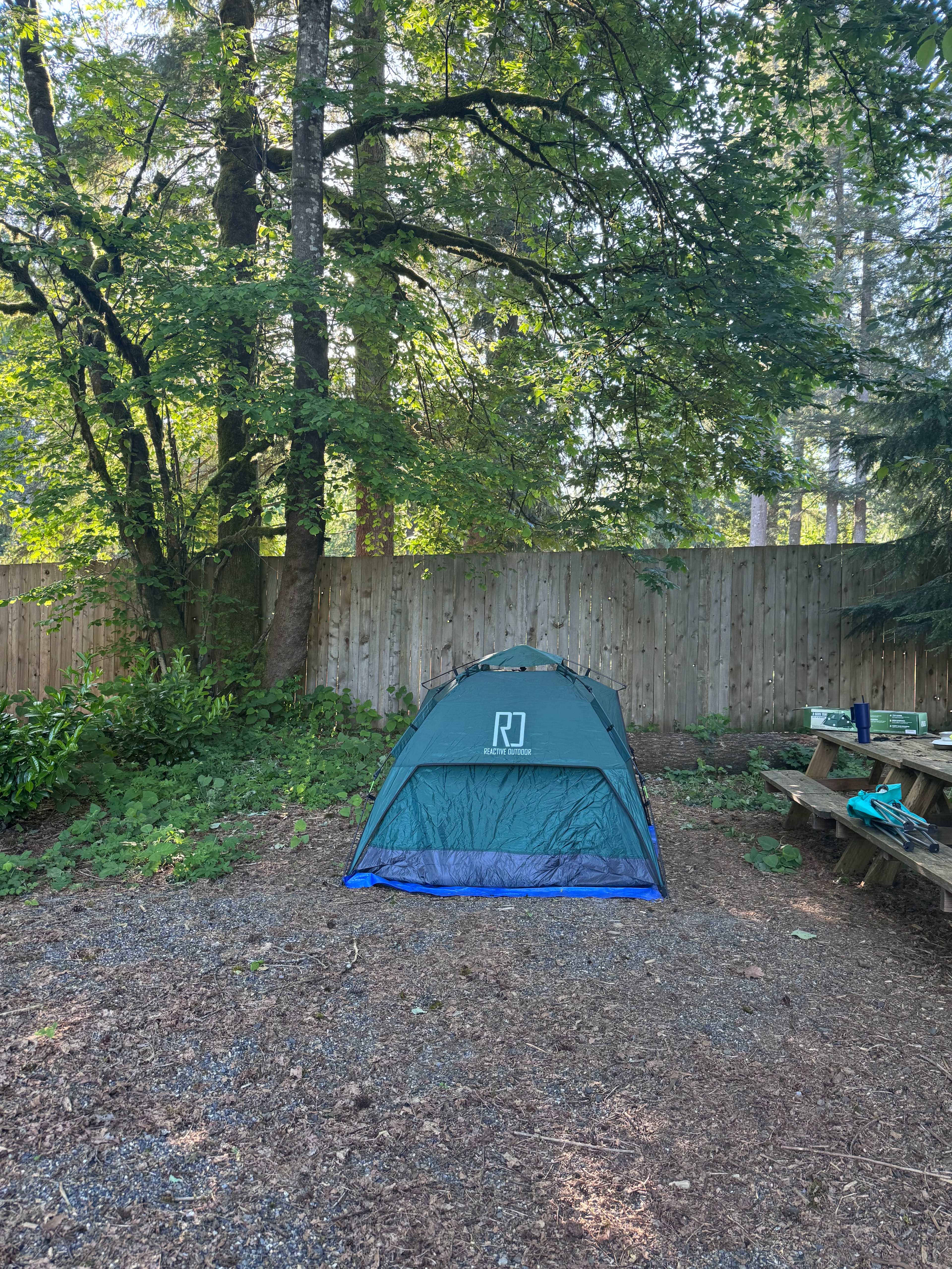 Action Sports Roamer Sites-Mt. Hood