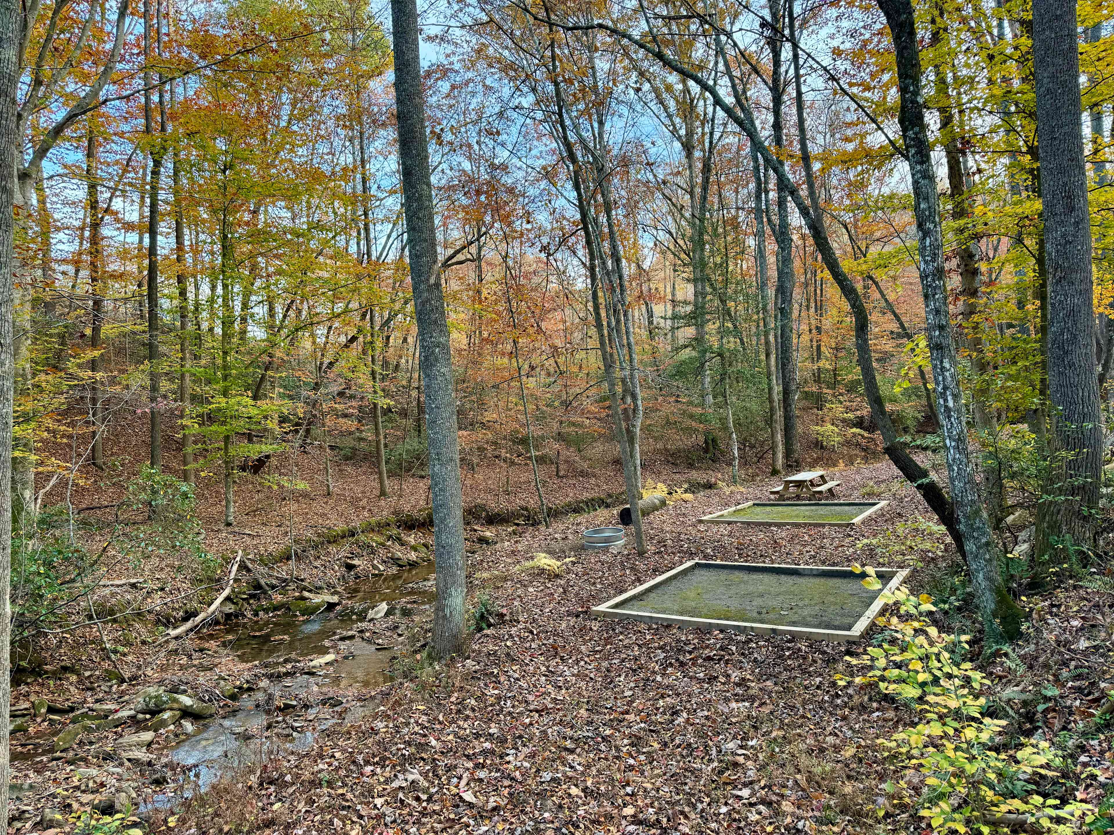 Picture of the site