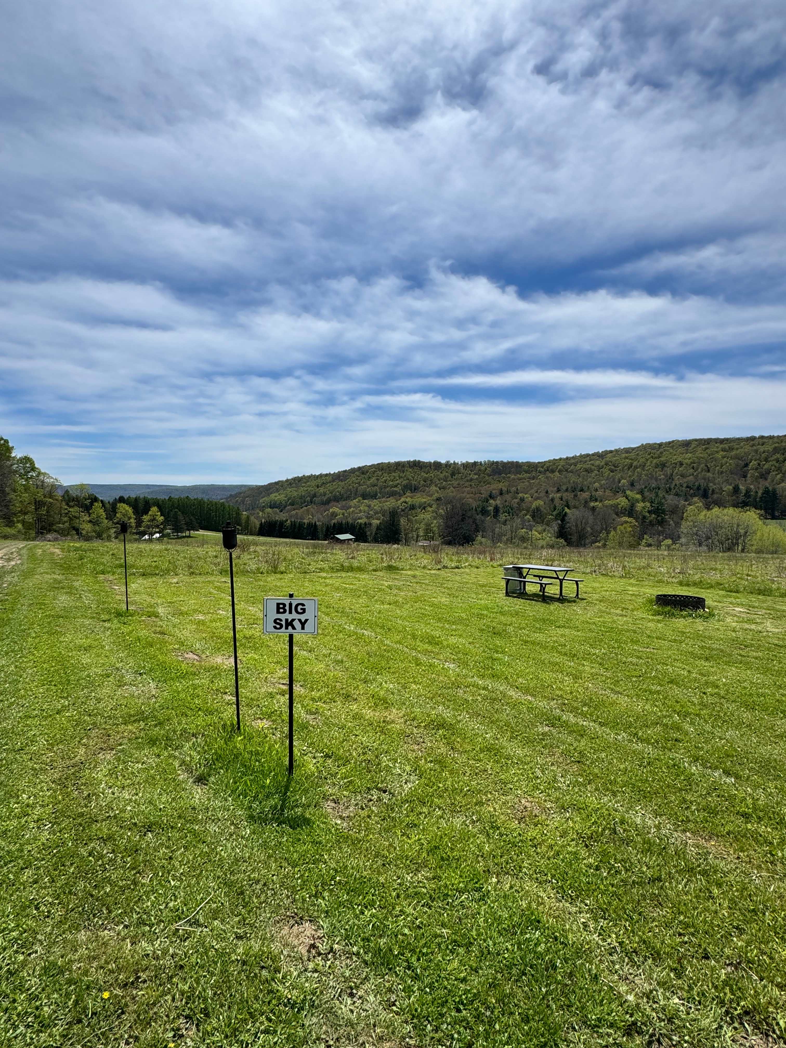 Picture of the site