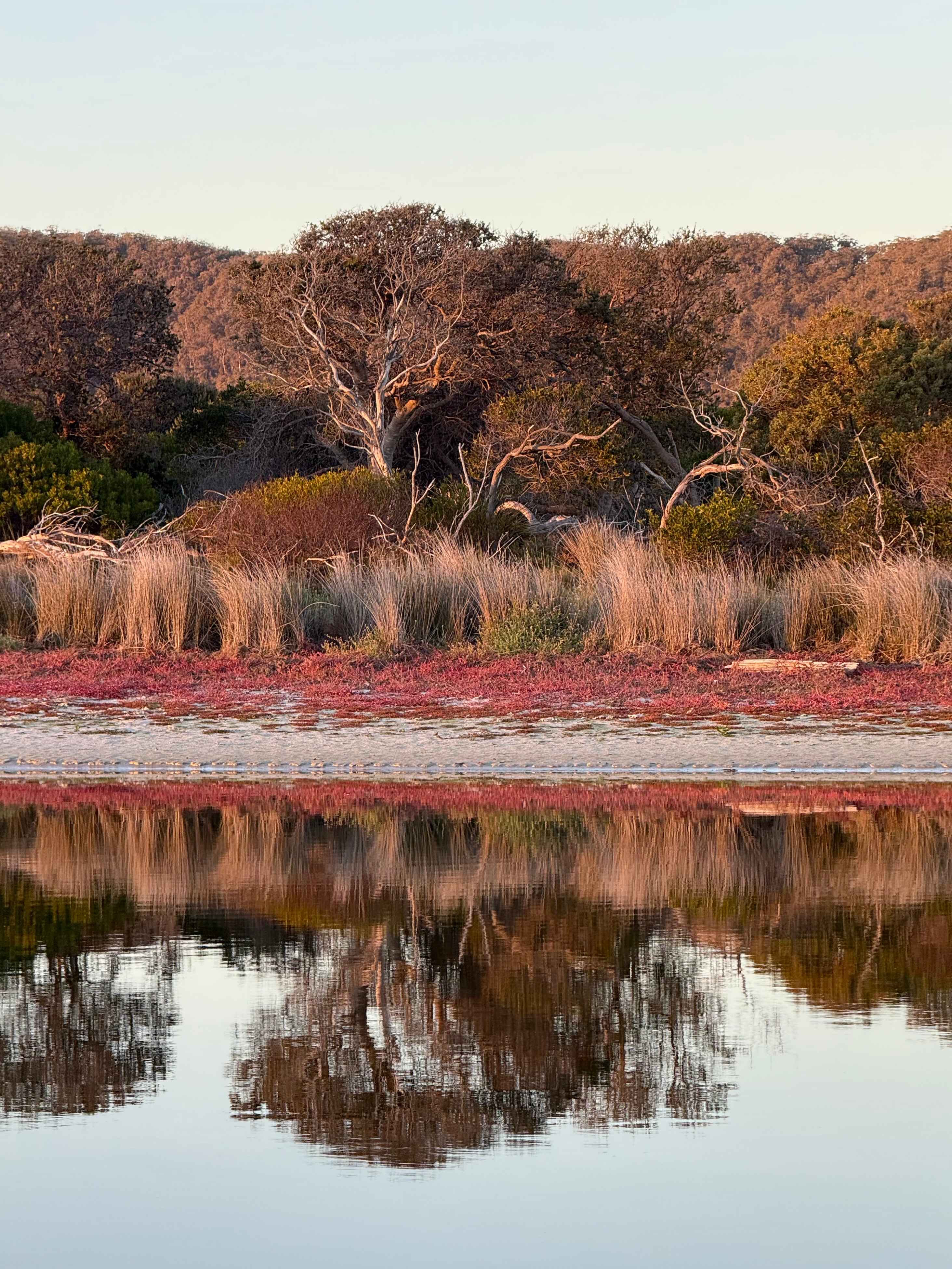 Old Mines Lagoon