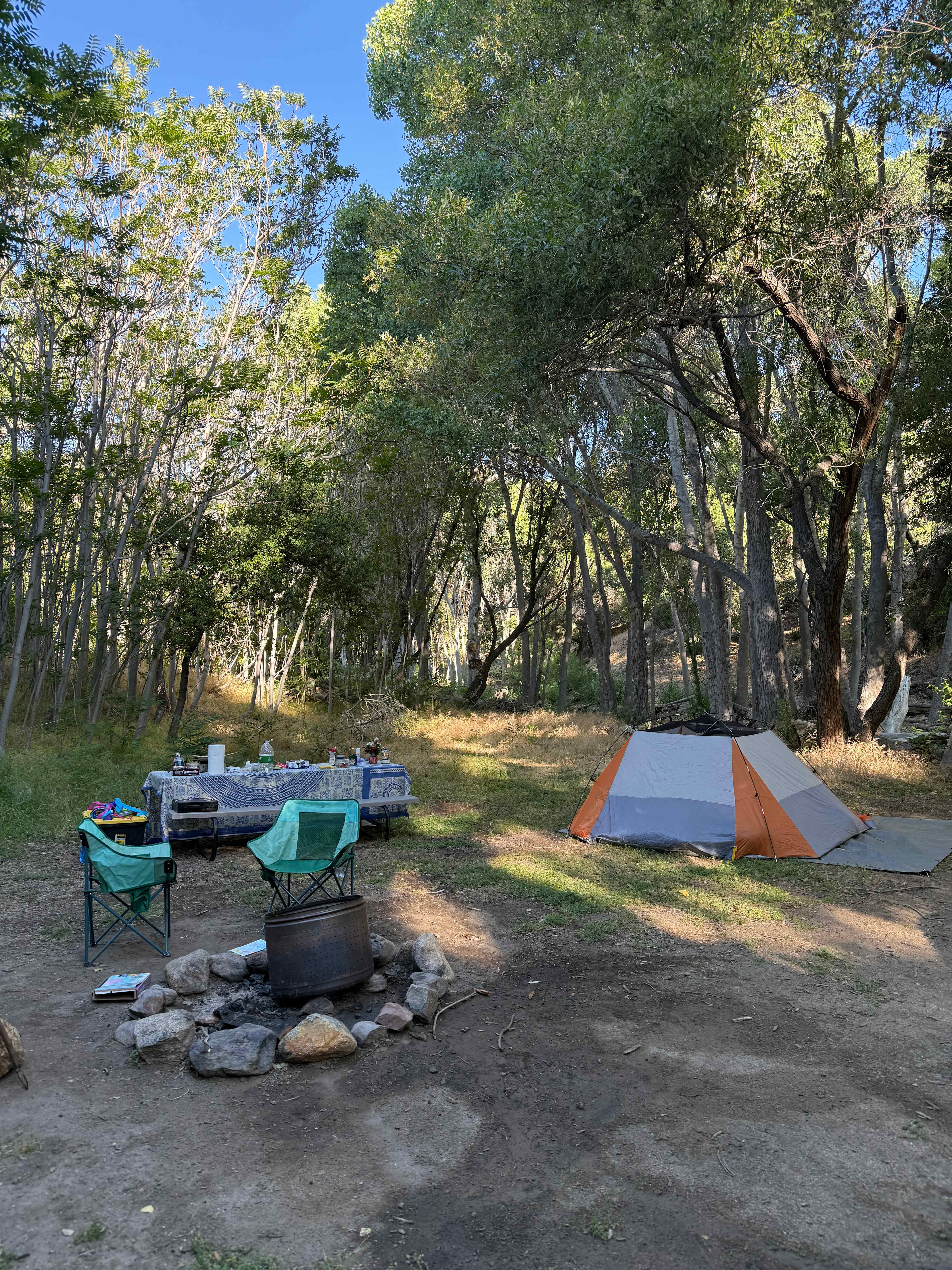 Site T6