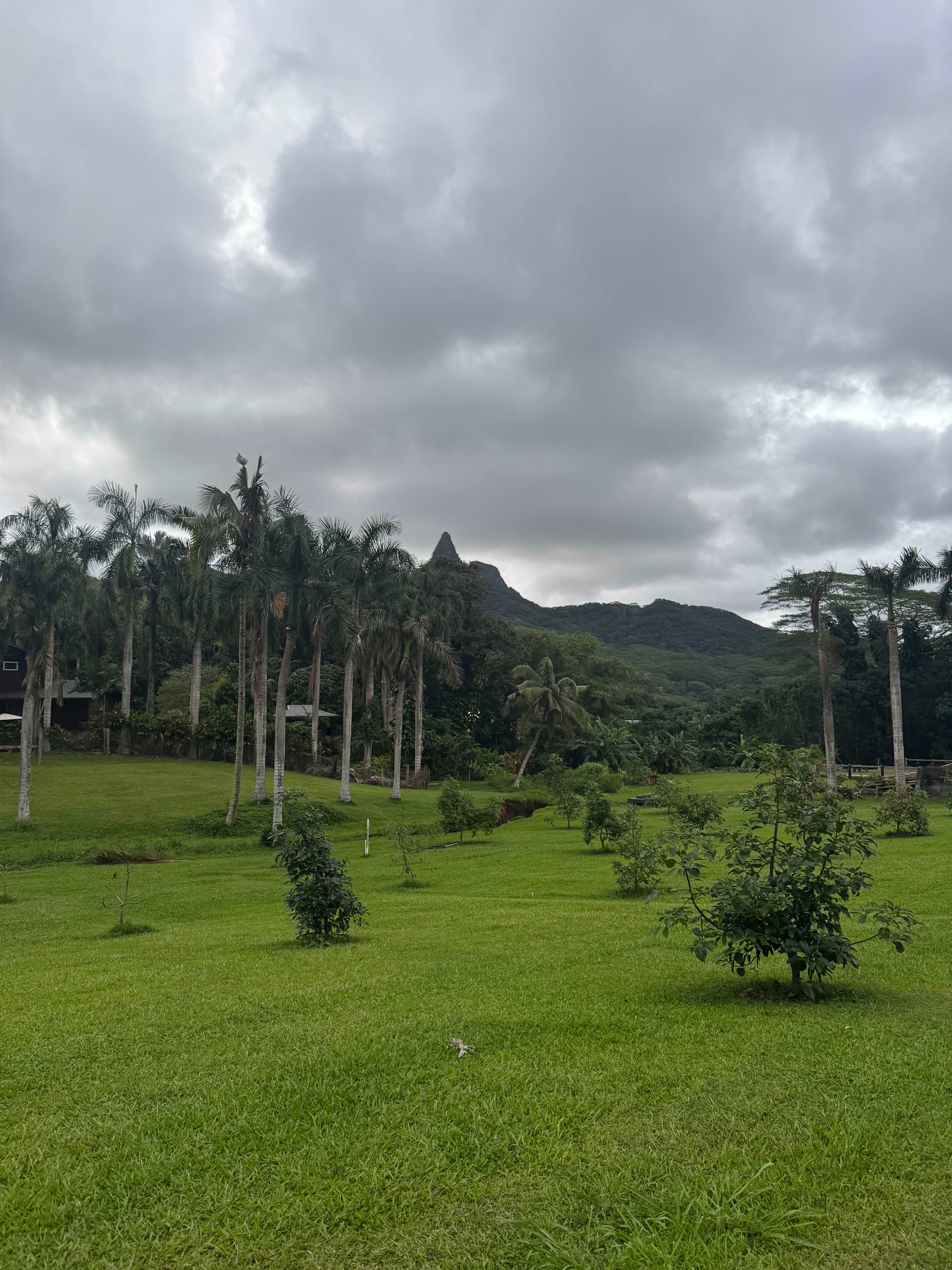 Waimanalo Farmstay
