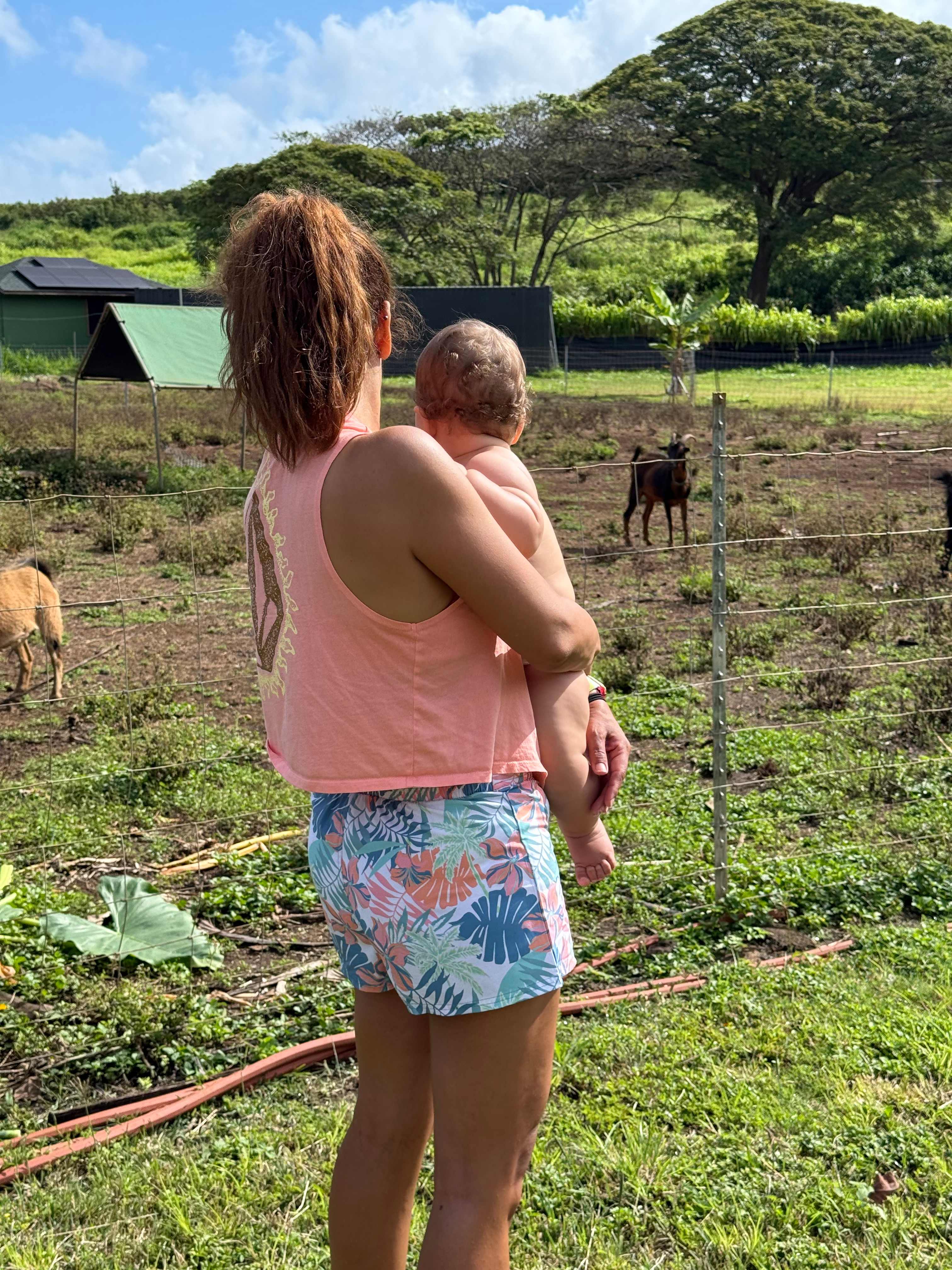 The farm animals were fun! Goats, ducks, and chickens