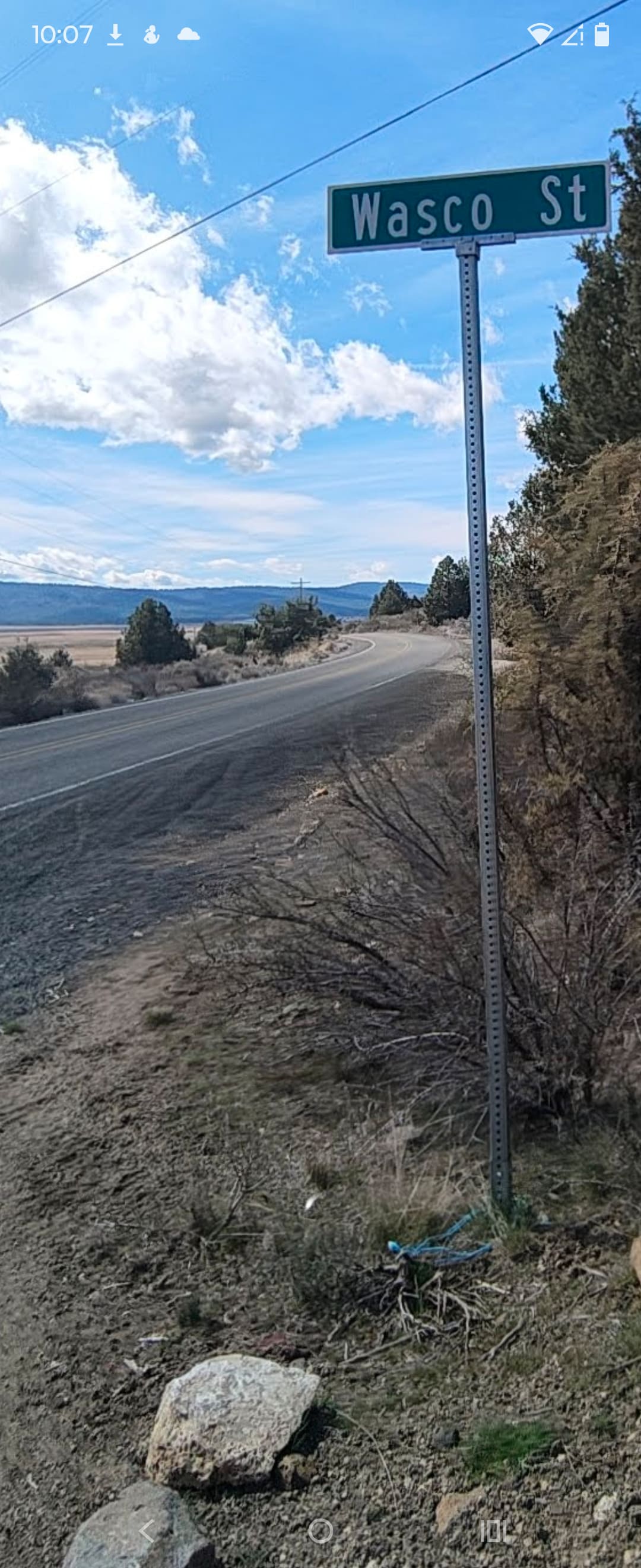 Picture of the site