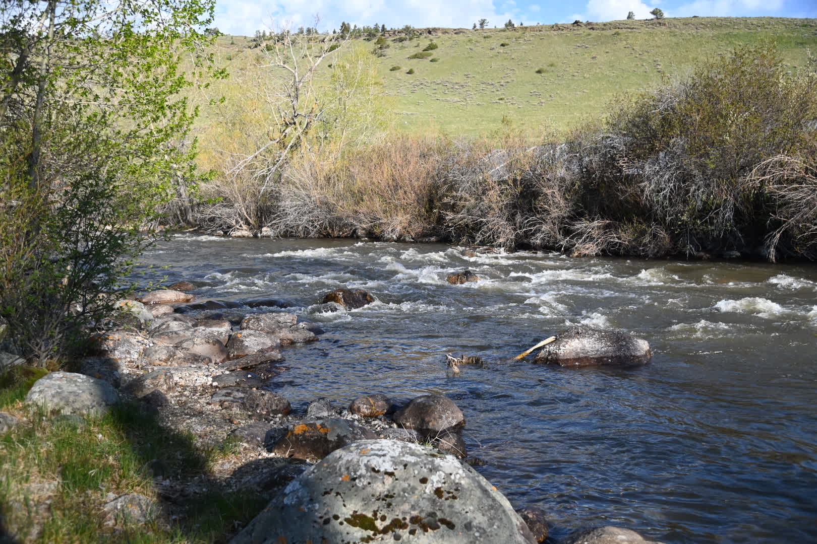 Ellison Ranch